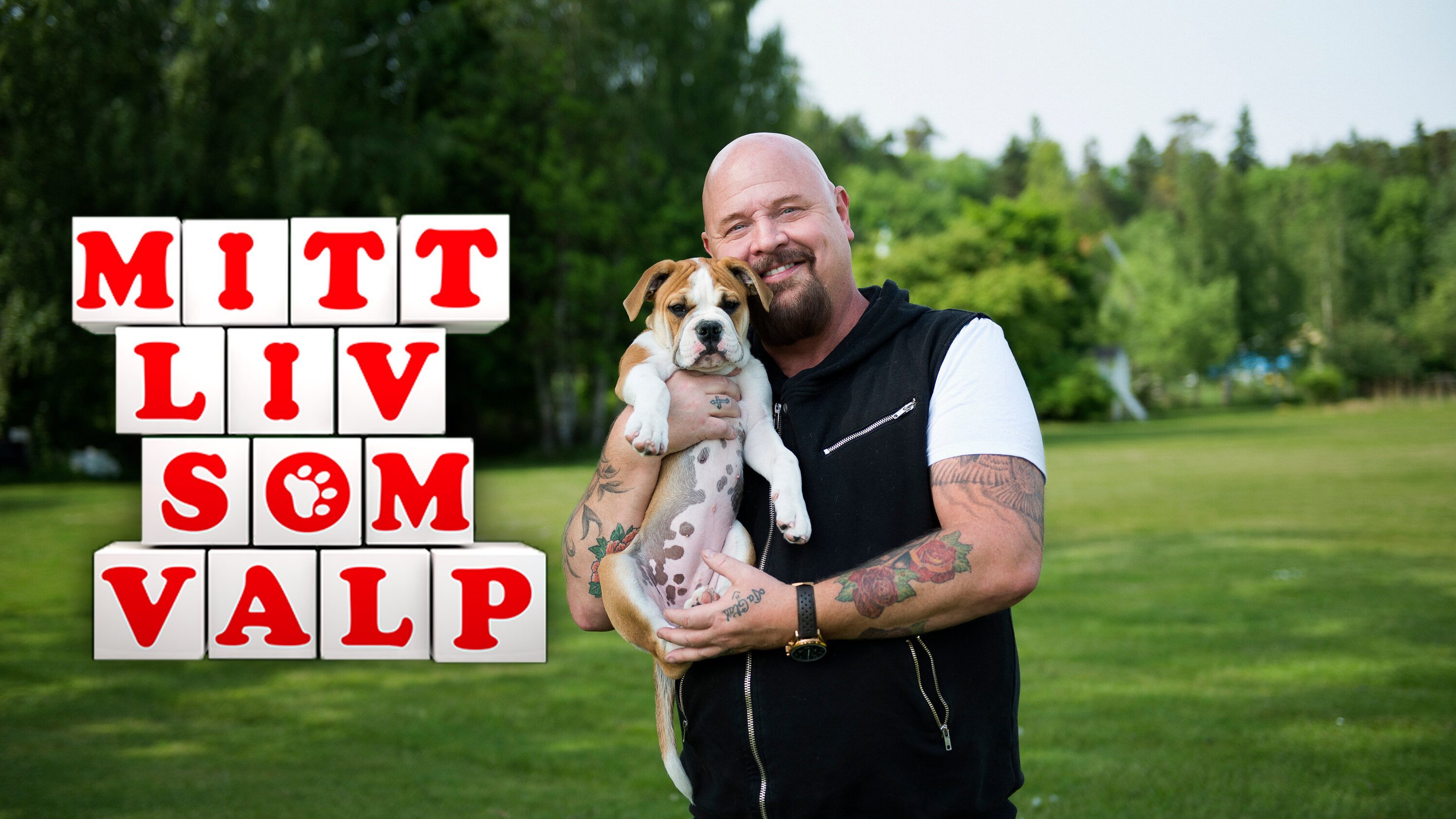 Mitt liv som valp