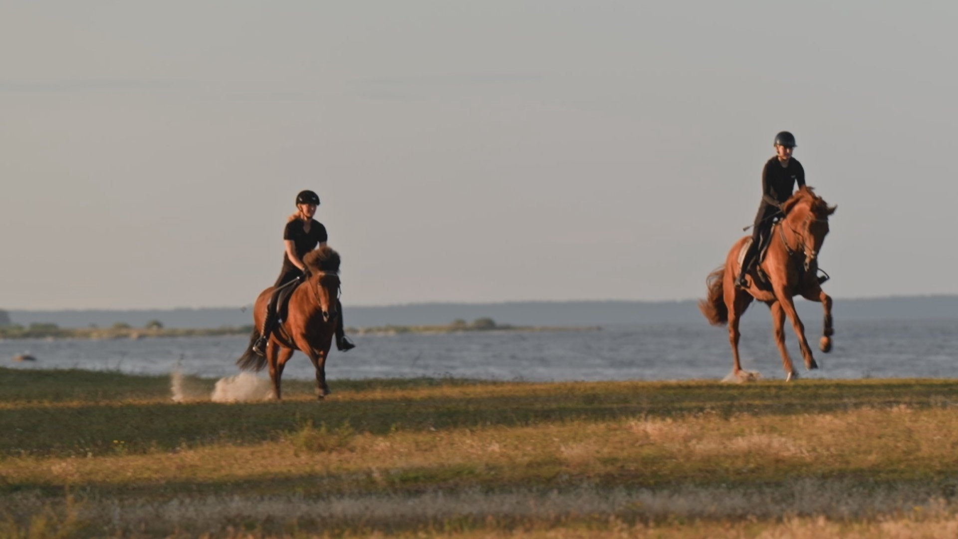 5. Ansvar, fest & fritid