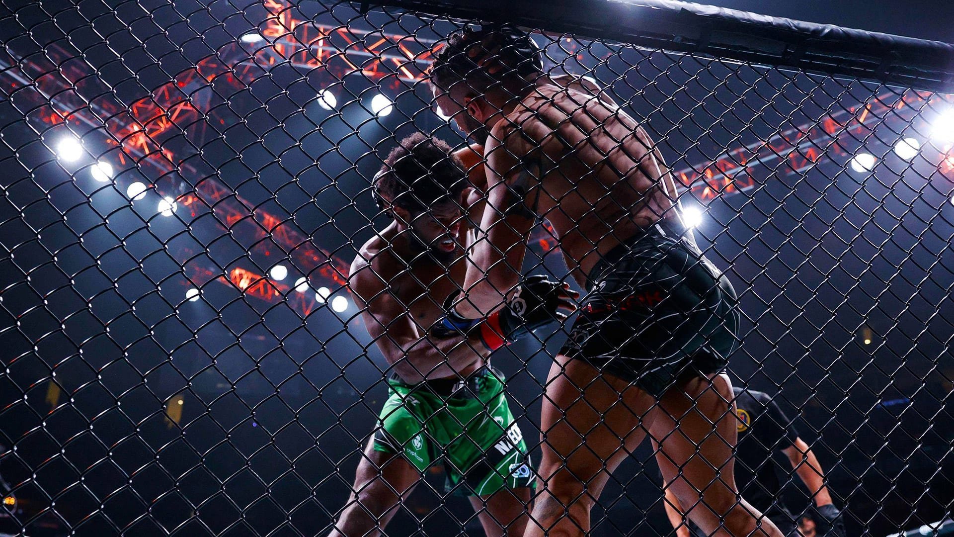 UFC Reloaded