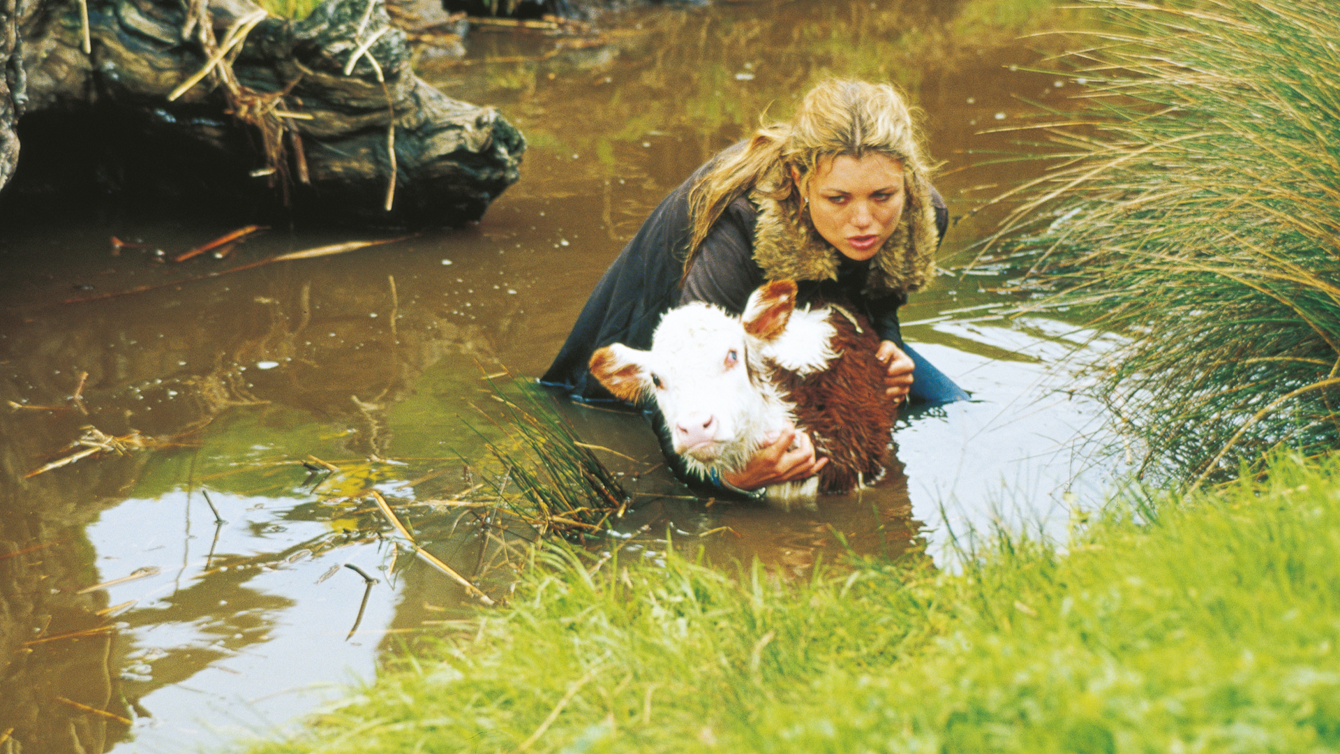 15. If The Boot Fits…