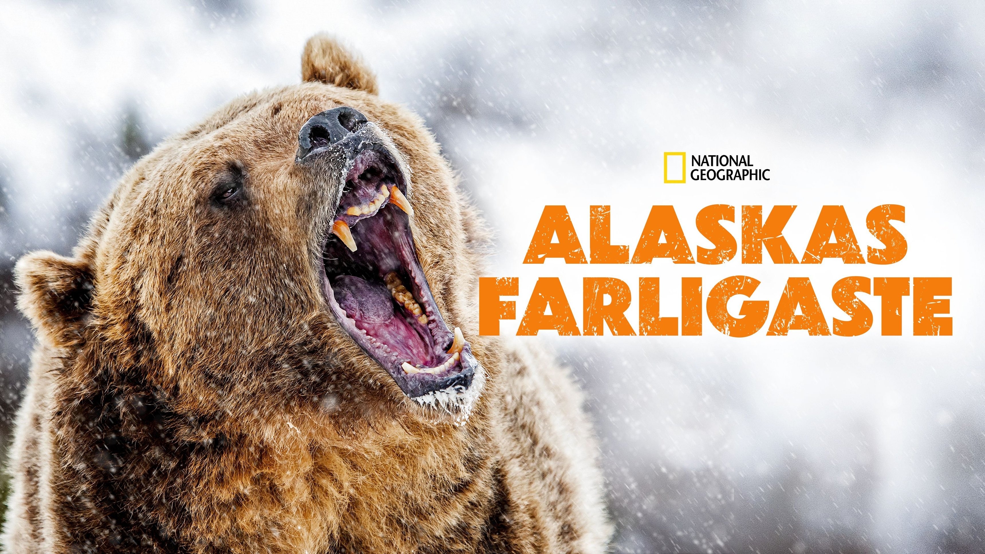 Alaskas farligaste