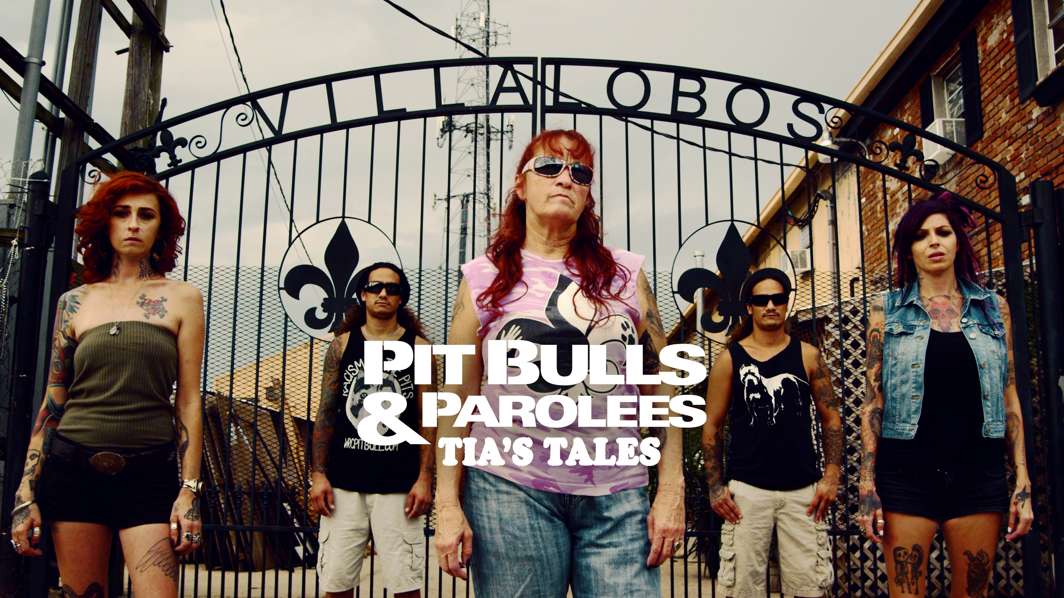 Pit Bulls & Parolees: Tia's Tales