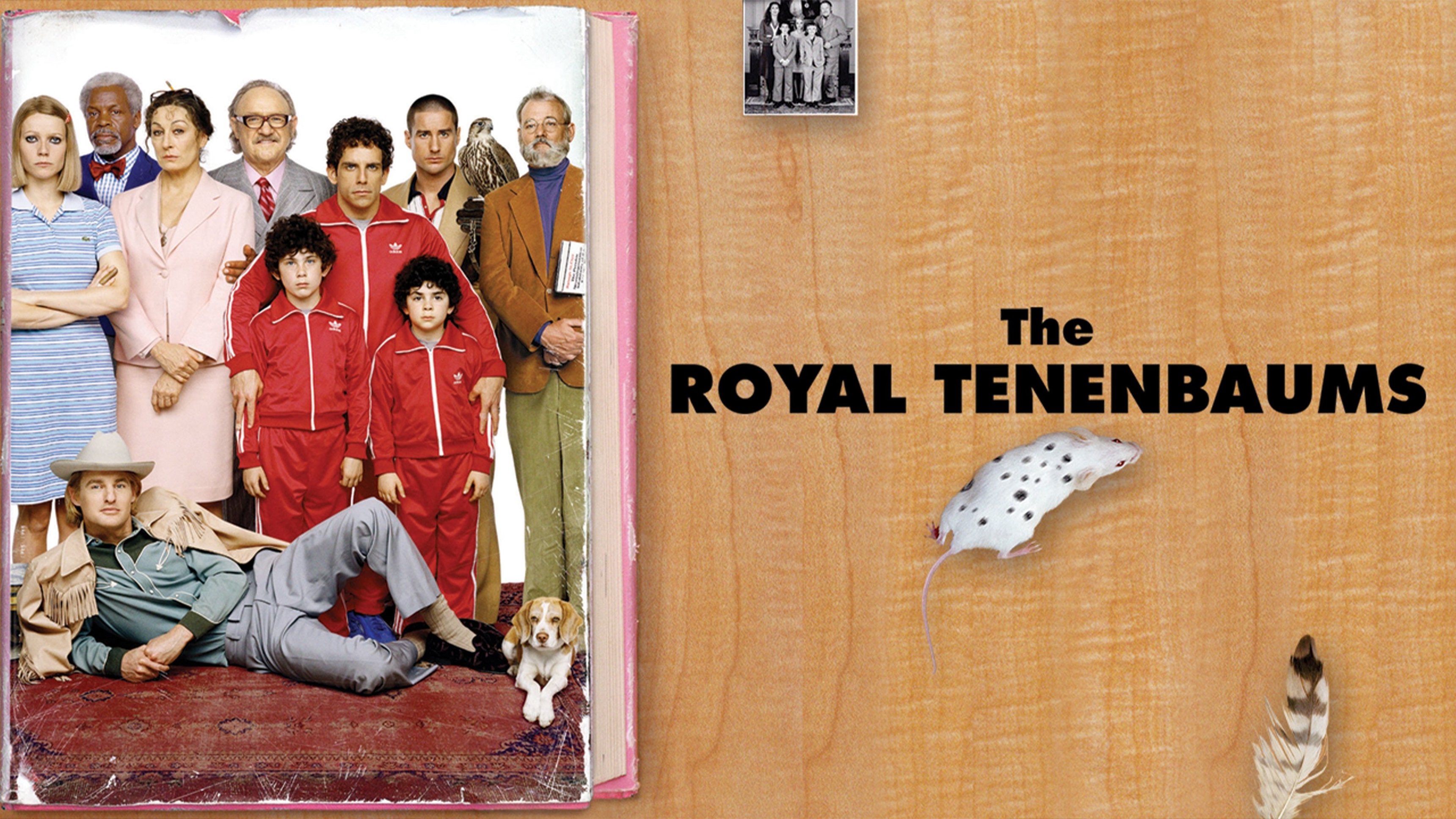 La famille Tenenbaum (VF)