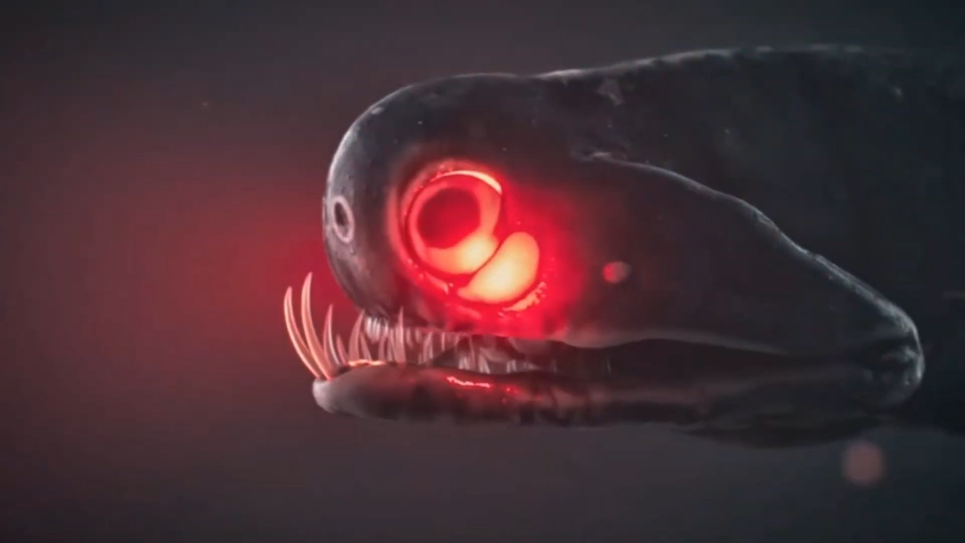 Djupets monster