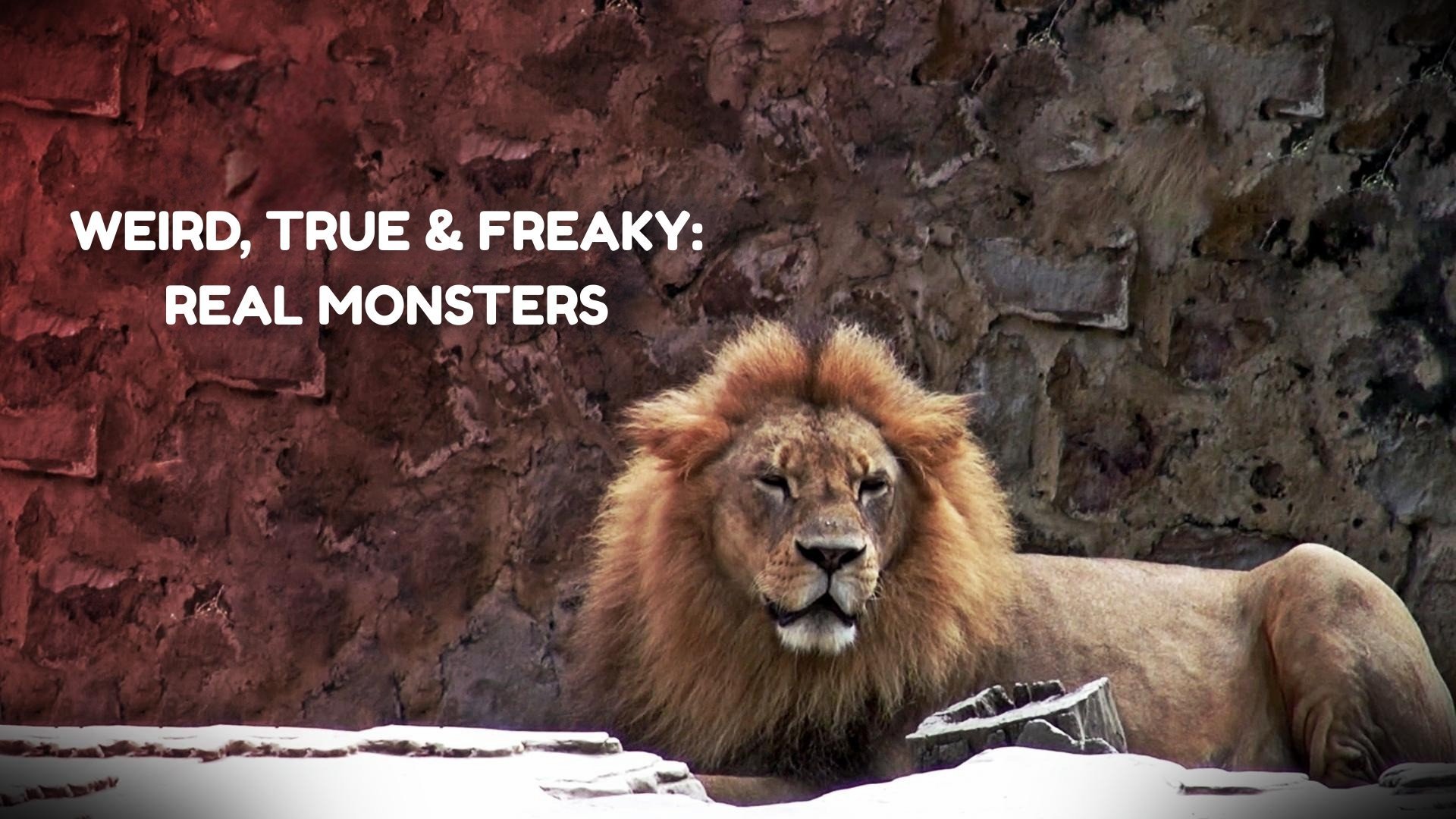 Weird, True & Freaky: Real Monsters