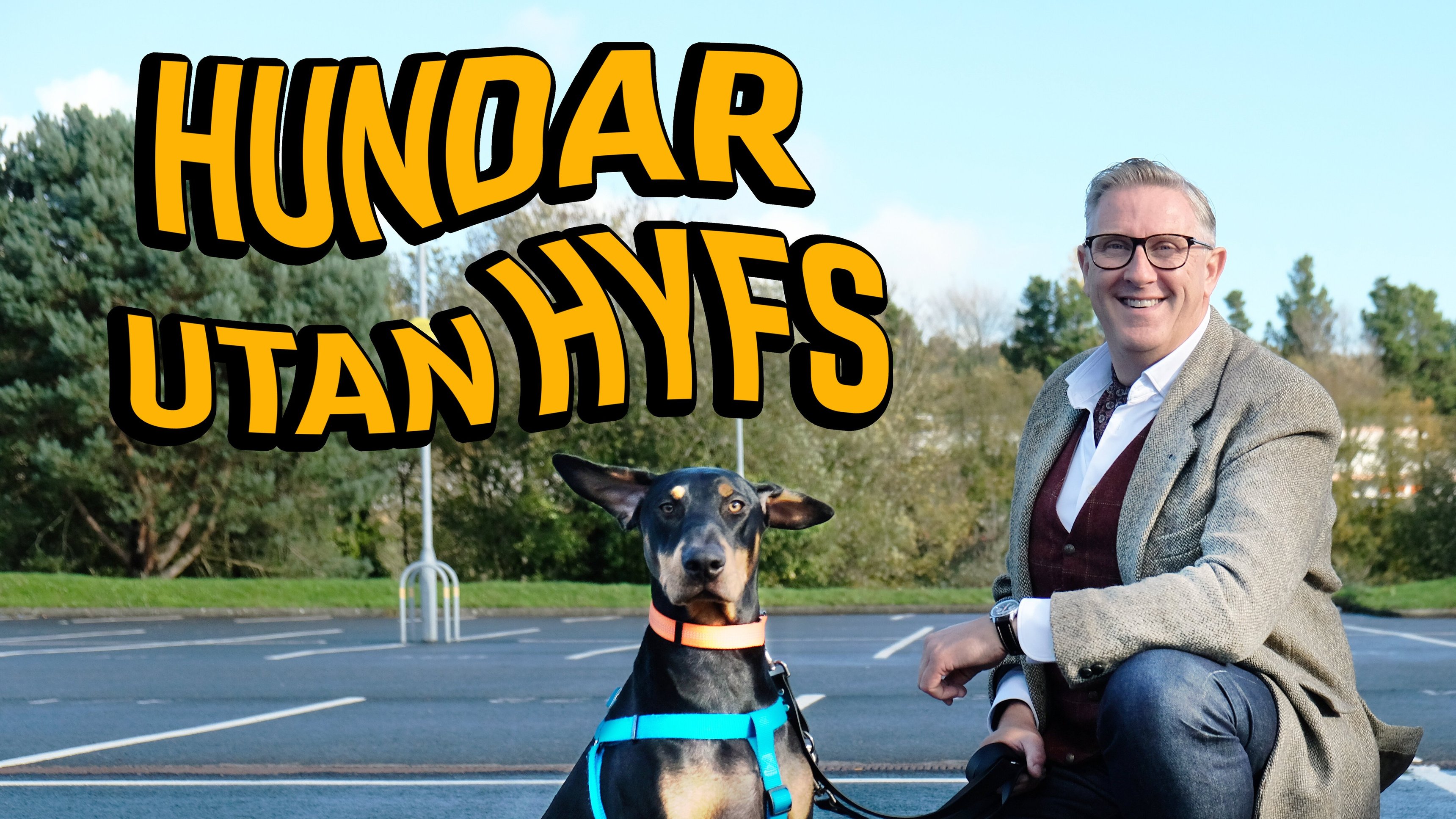 Hundar utan hyfs