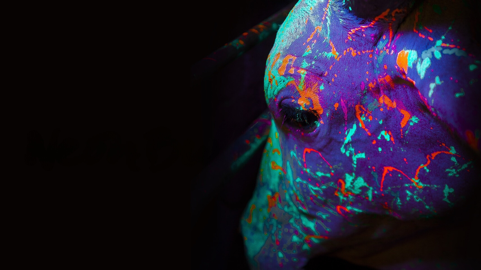Neon Bull