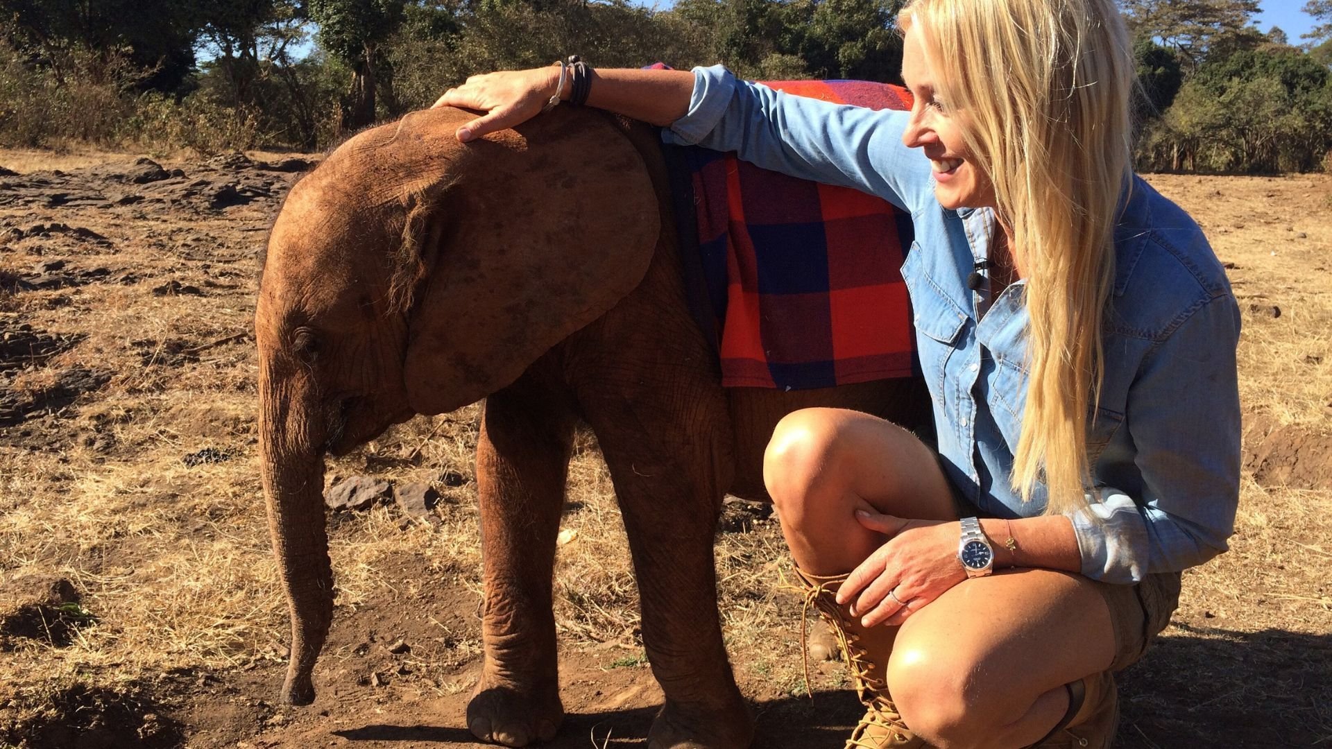 Linda och djurens hjältar