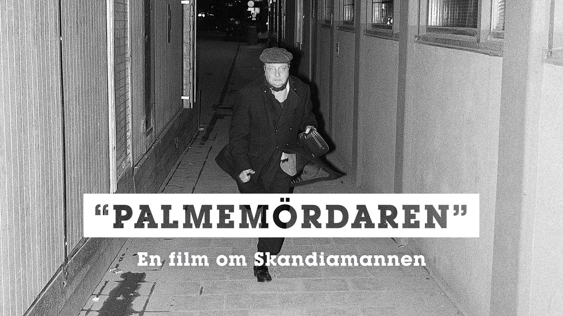 "Palmemördaren"
