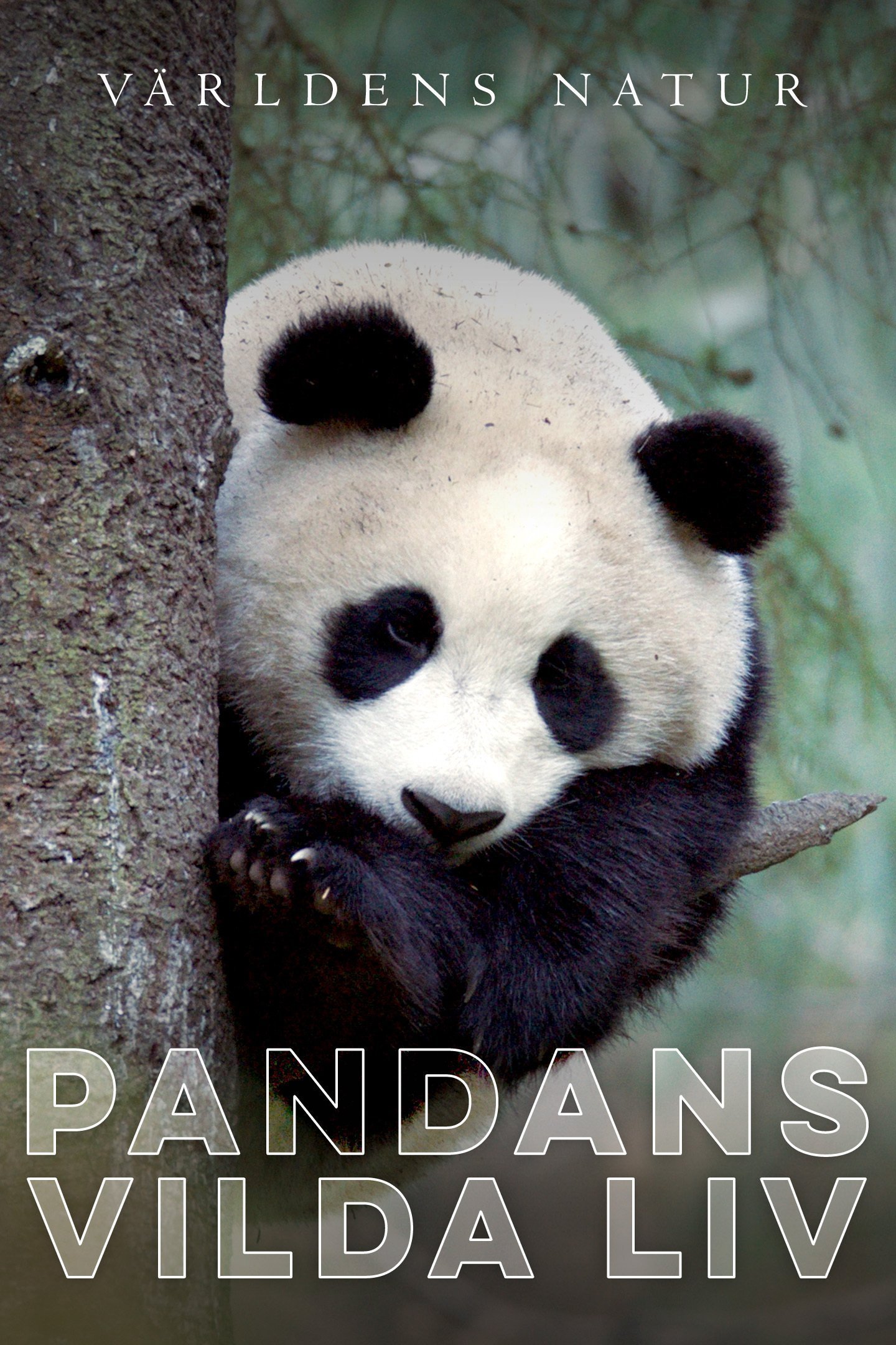 Världens natur: Pandans vilda liv