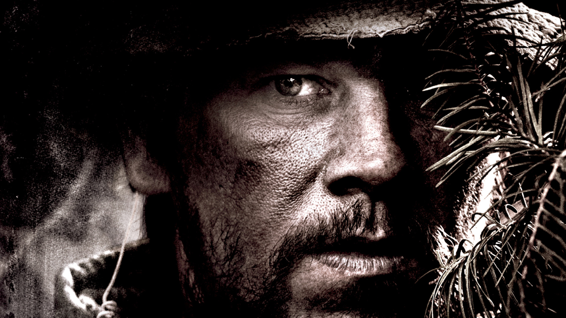 Lone survivor