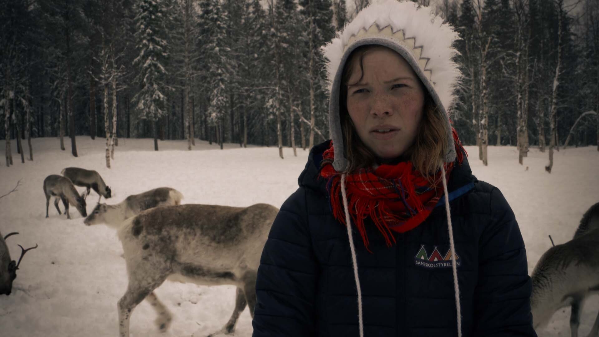 Kalla fakta: Lappdjävlar