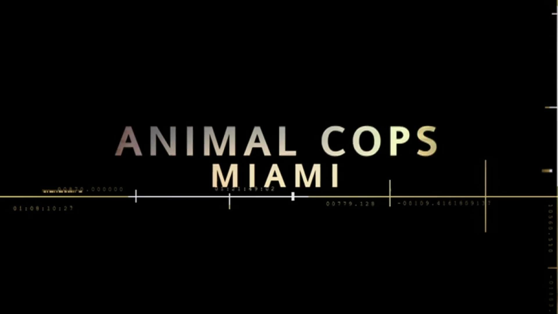 Animal Cops Miami