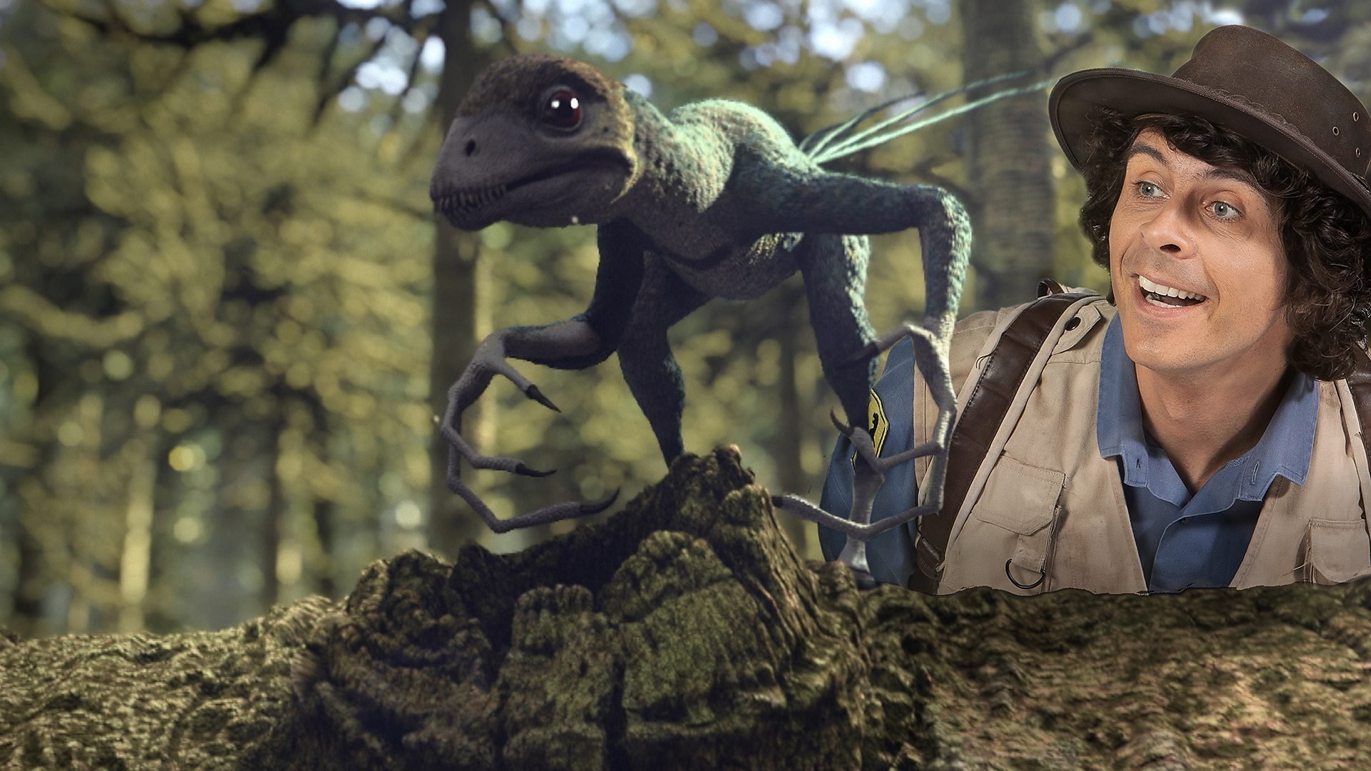 3. Epidexipteryxen och fjädern