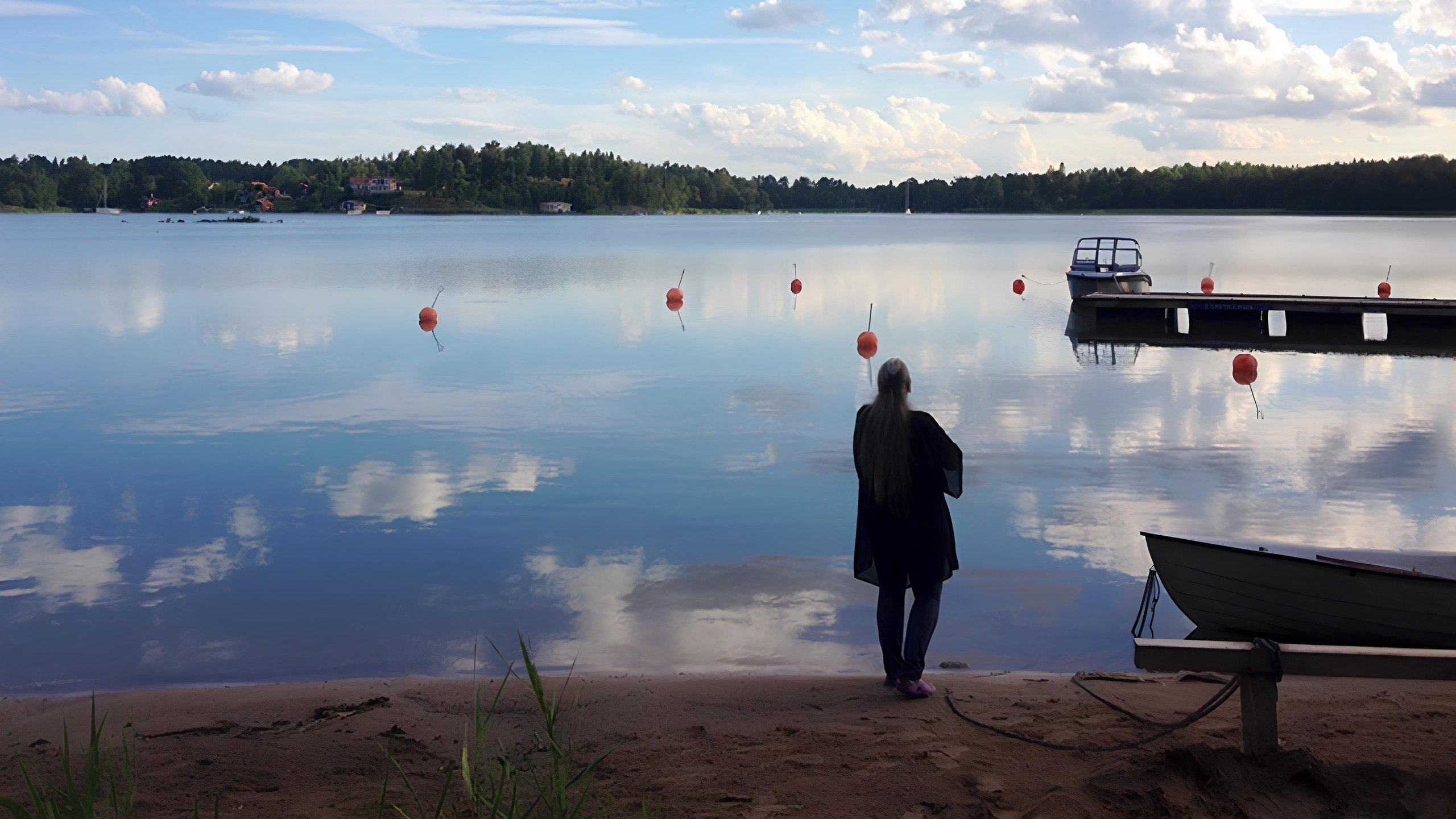 I Sverige finns inga horor