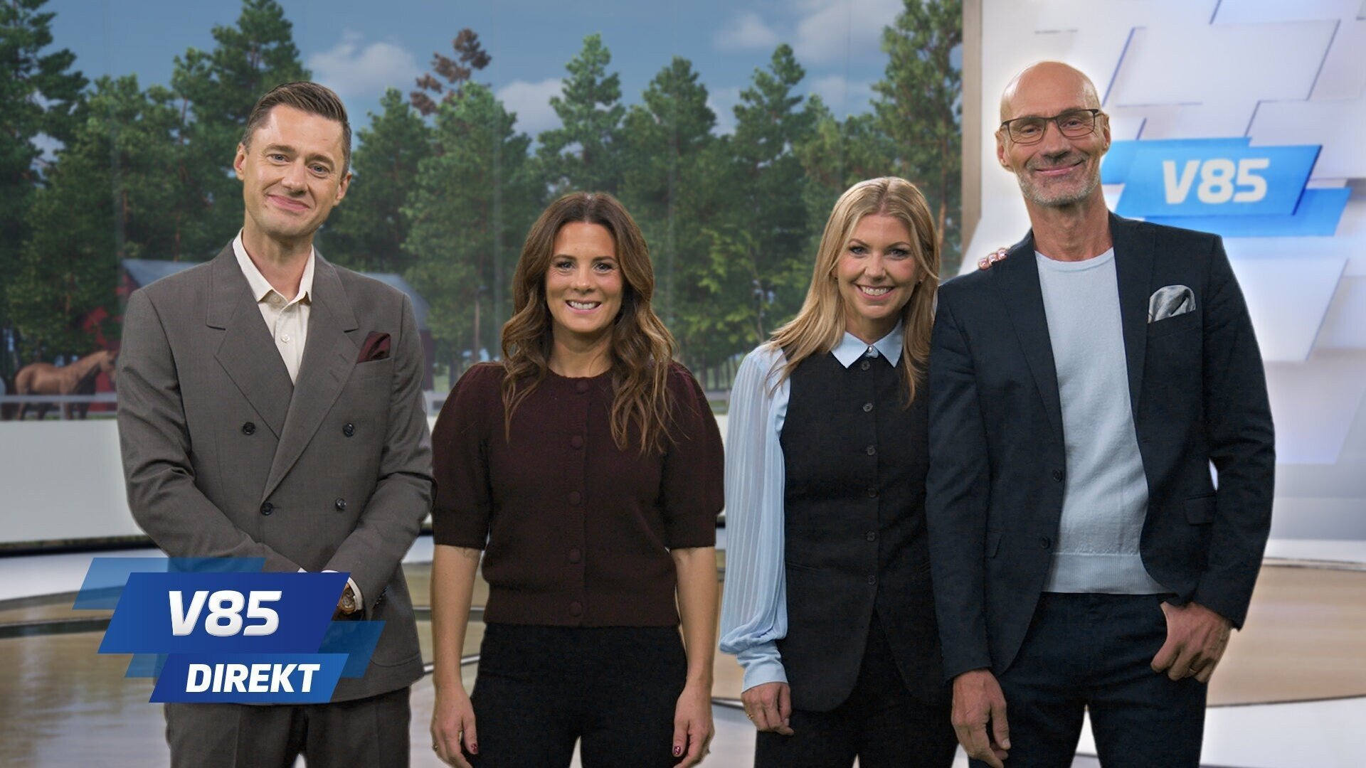 V85 Direkt