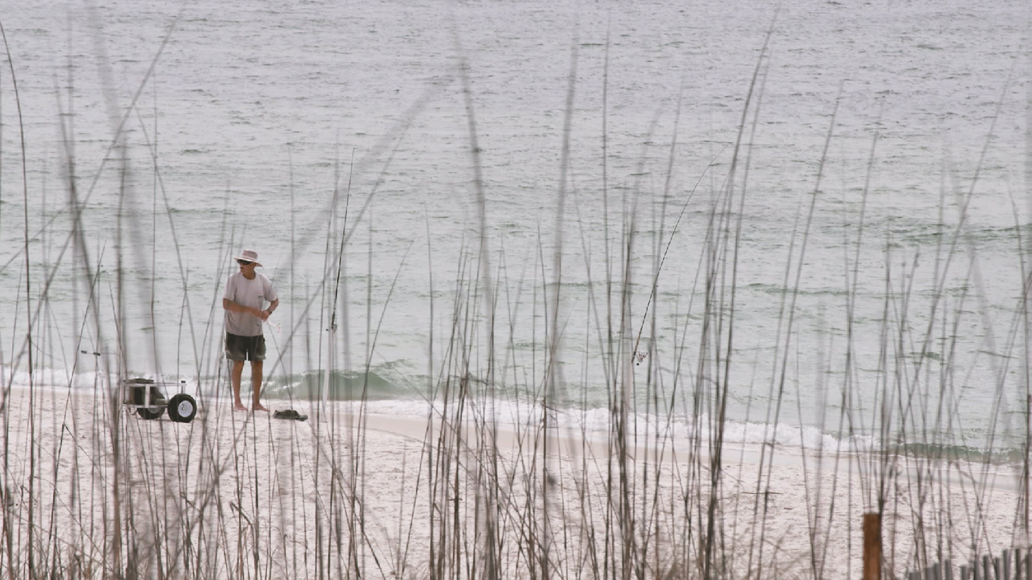 3. Gulf Coast Killers