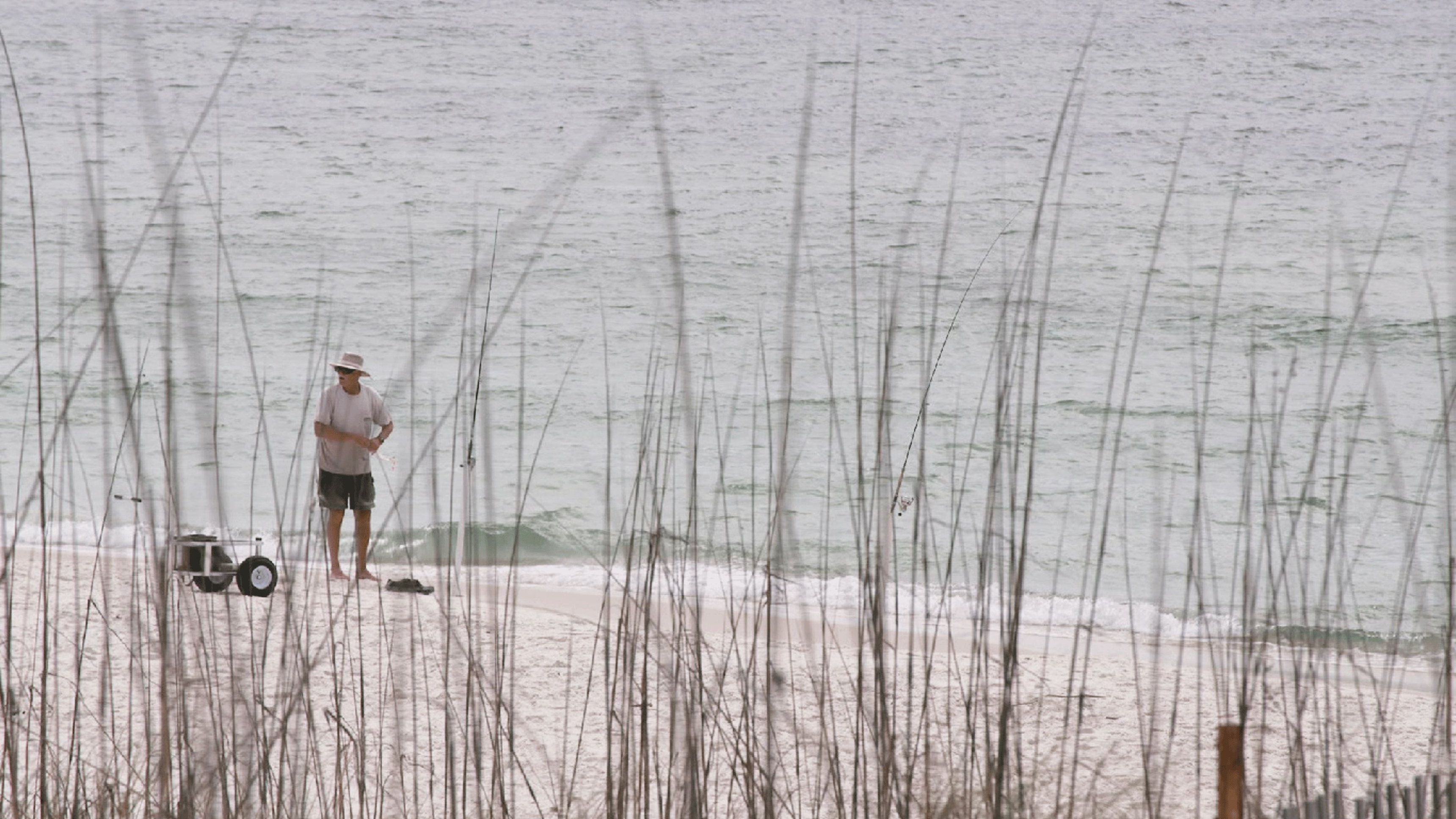 3. Gulf Coast Killers