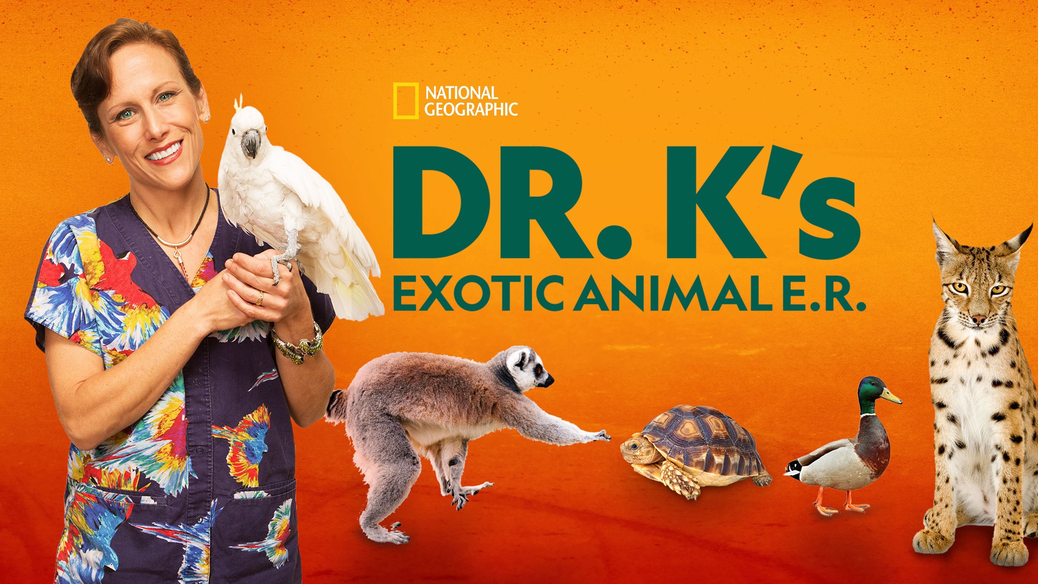 Dr K:s exotiska djur