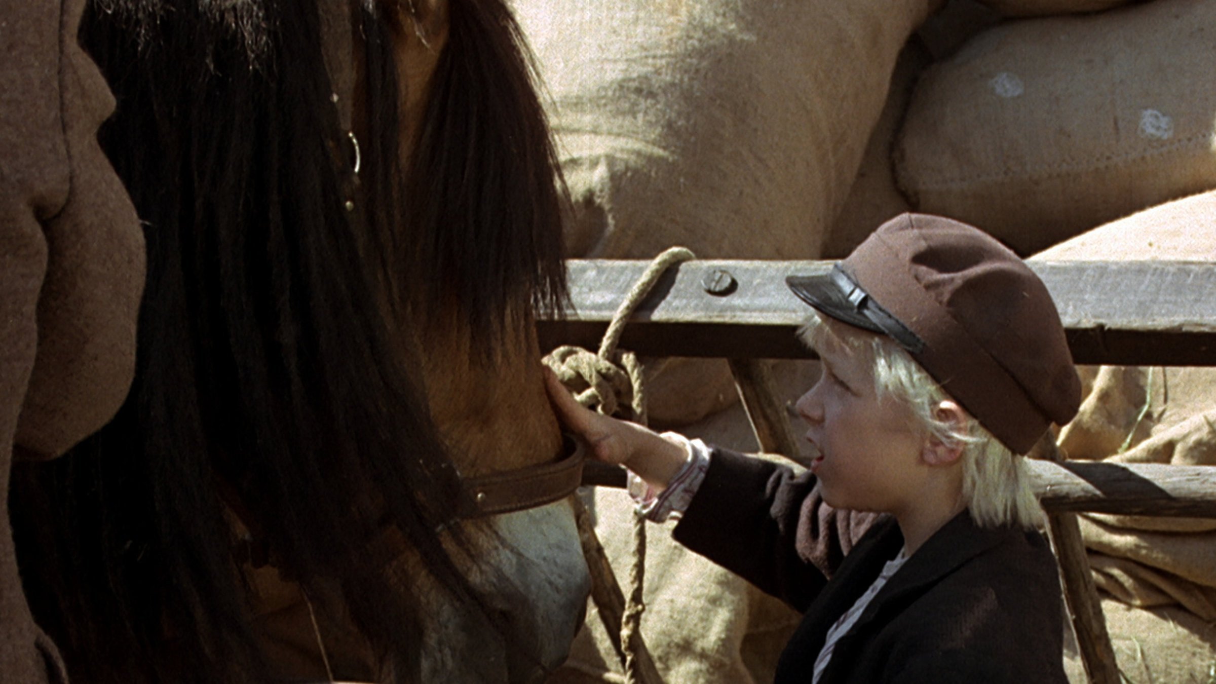 4. När Emil for till marknaden