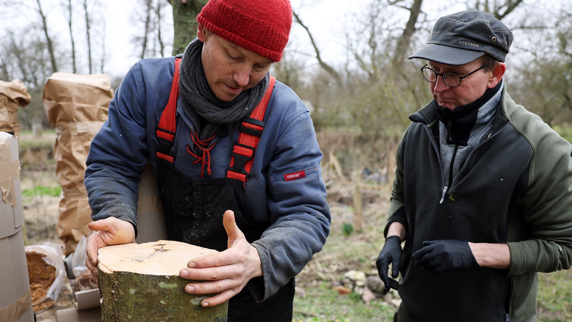 6. Ostronskivlingar och konserverade ägg