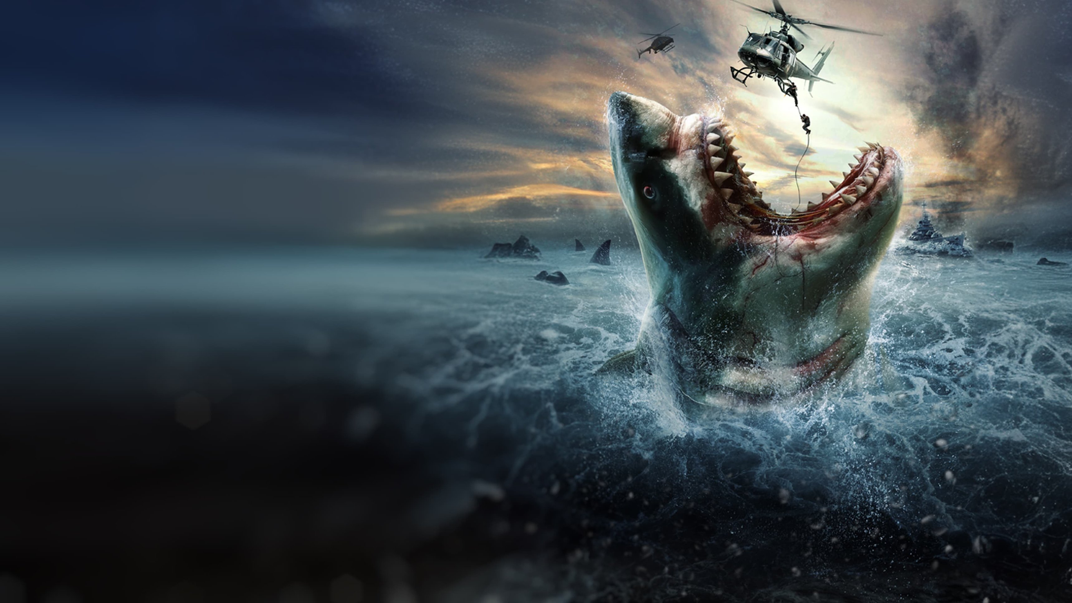 Megalodon: The Frenzy