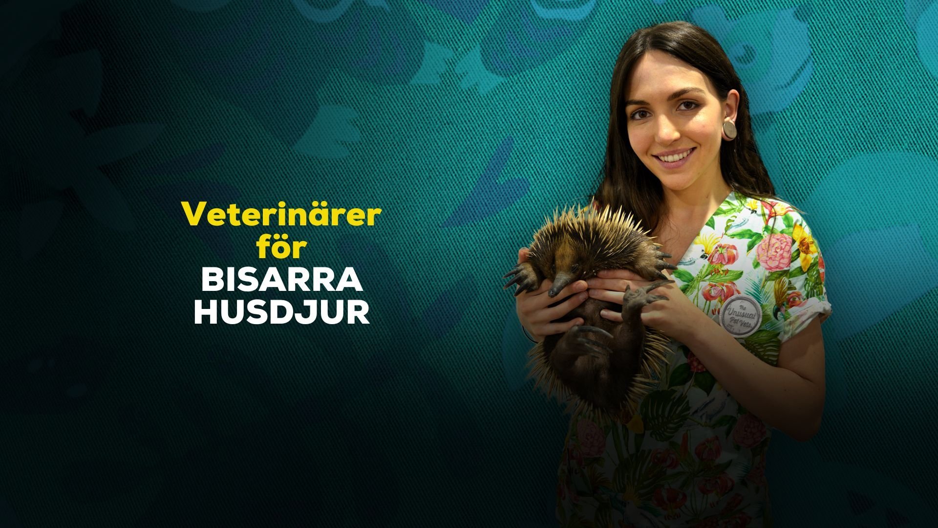 Veterinärer för bisarra husdjur