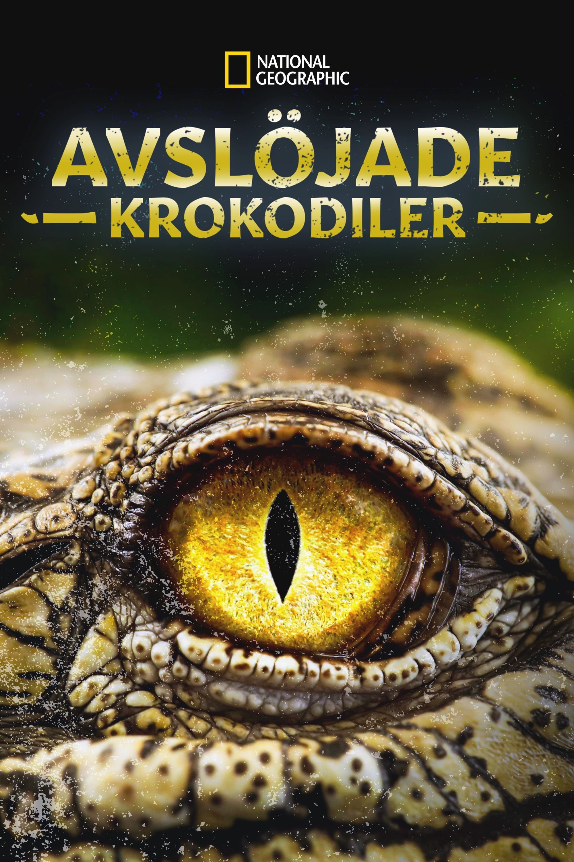 Avslöjade krokodiler