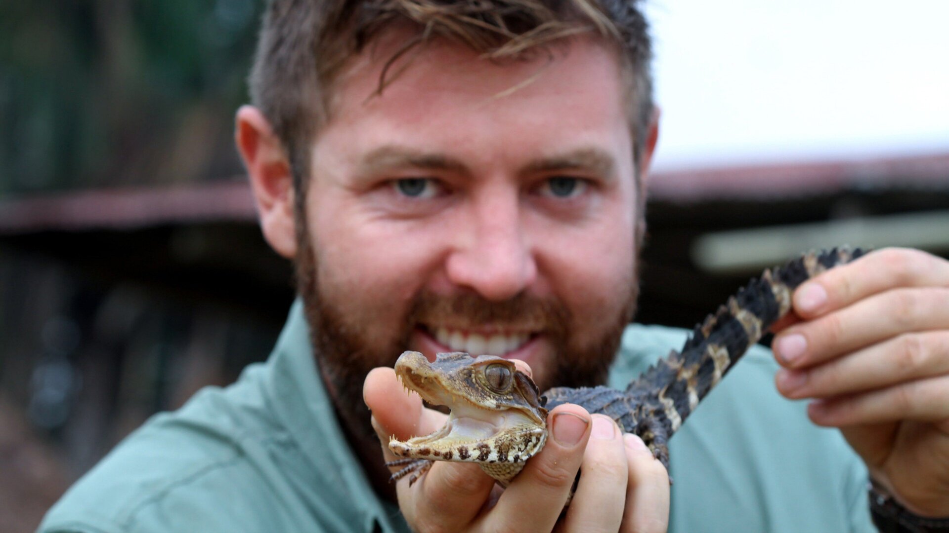 4. Rio Apaporis Caiman
