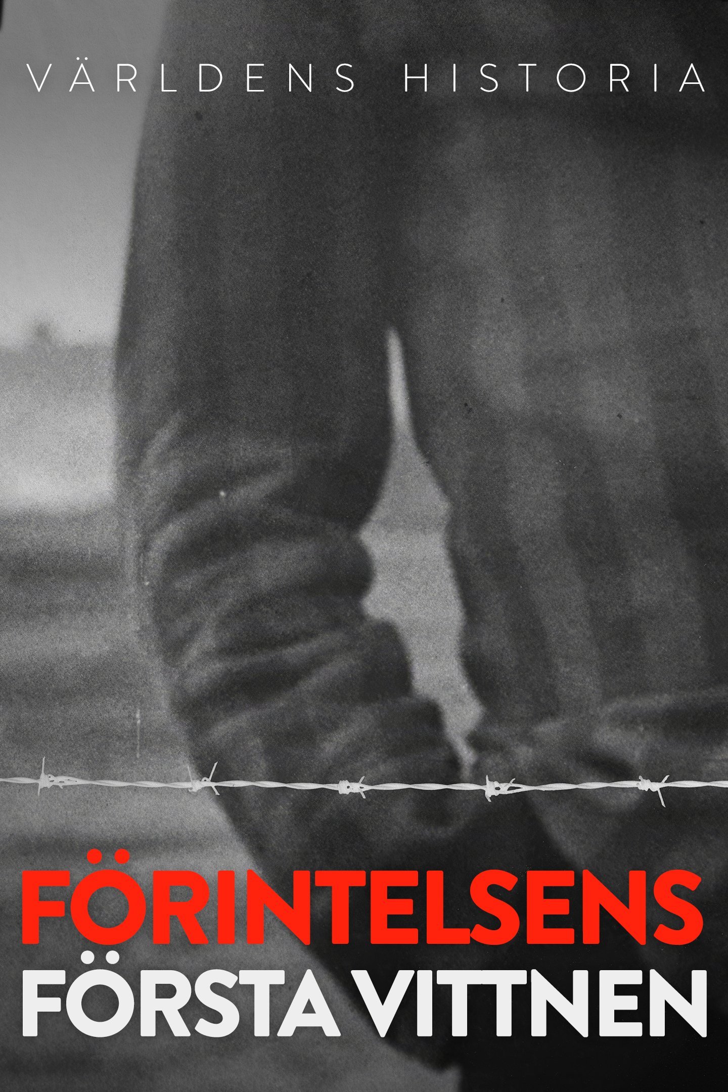Världens historia: Förintelsens första vittnen