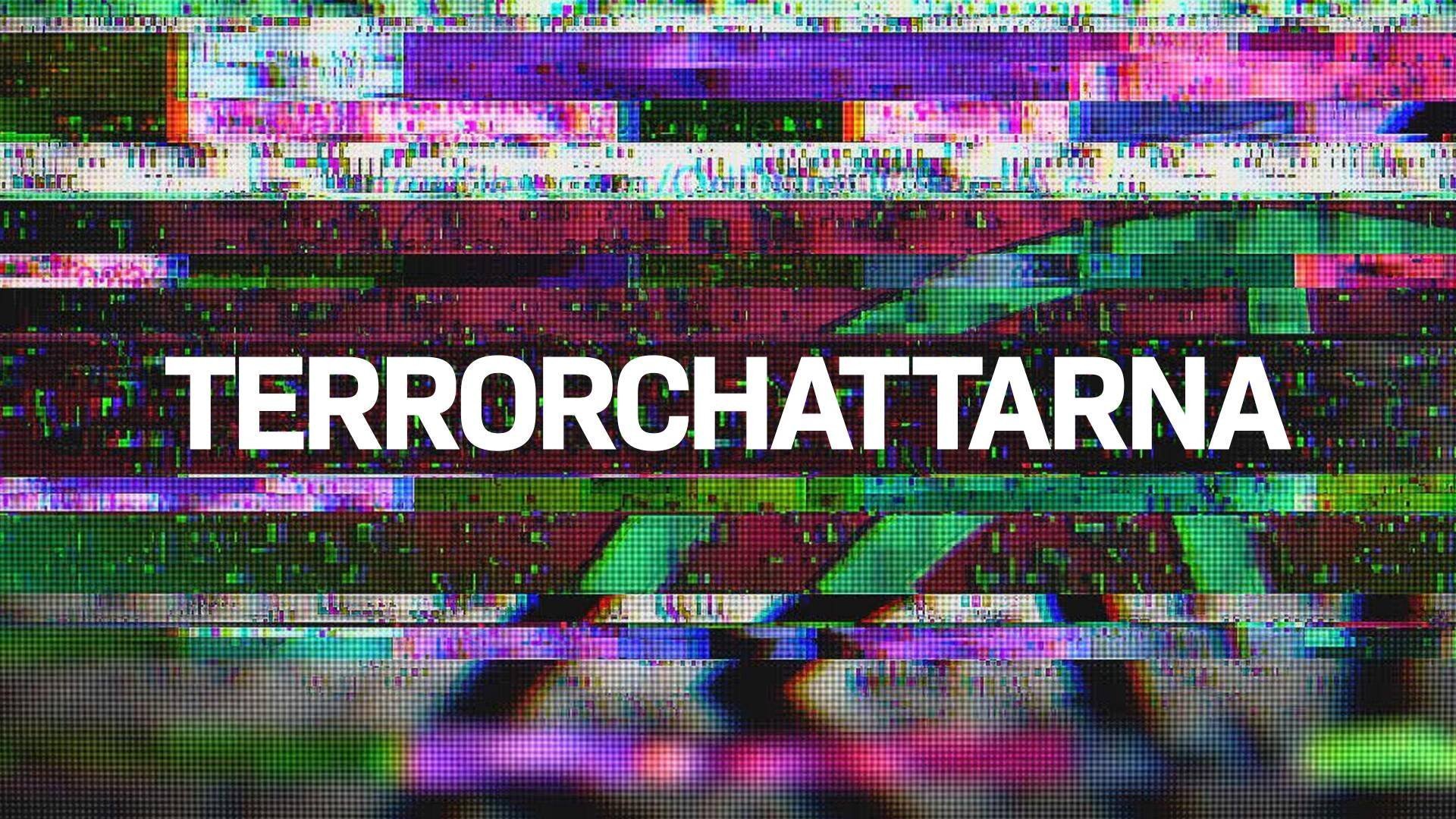 Dokument utifrån: Terrorchattarna