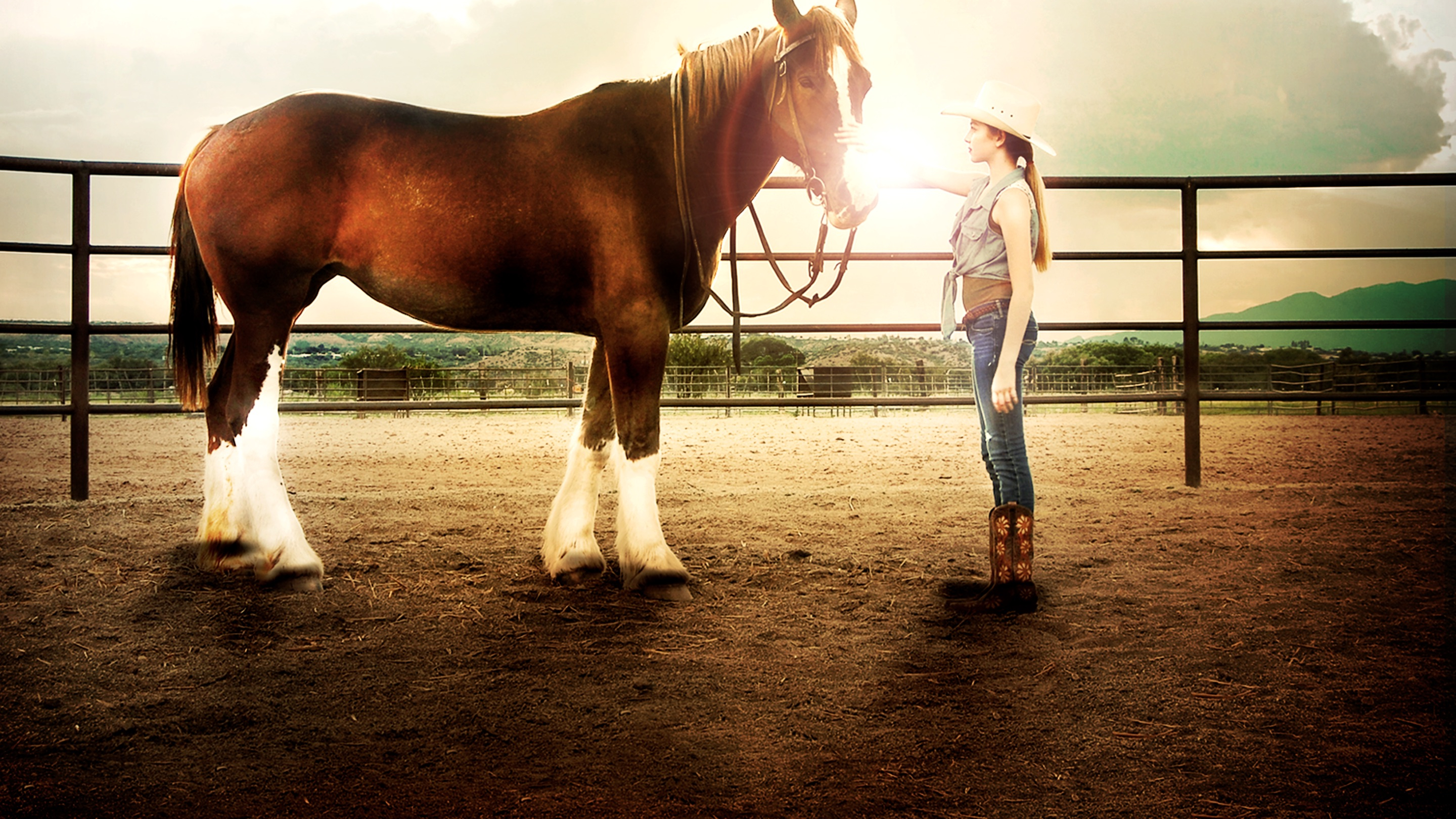 A Horse Story