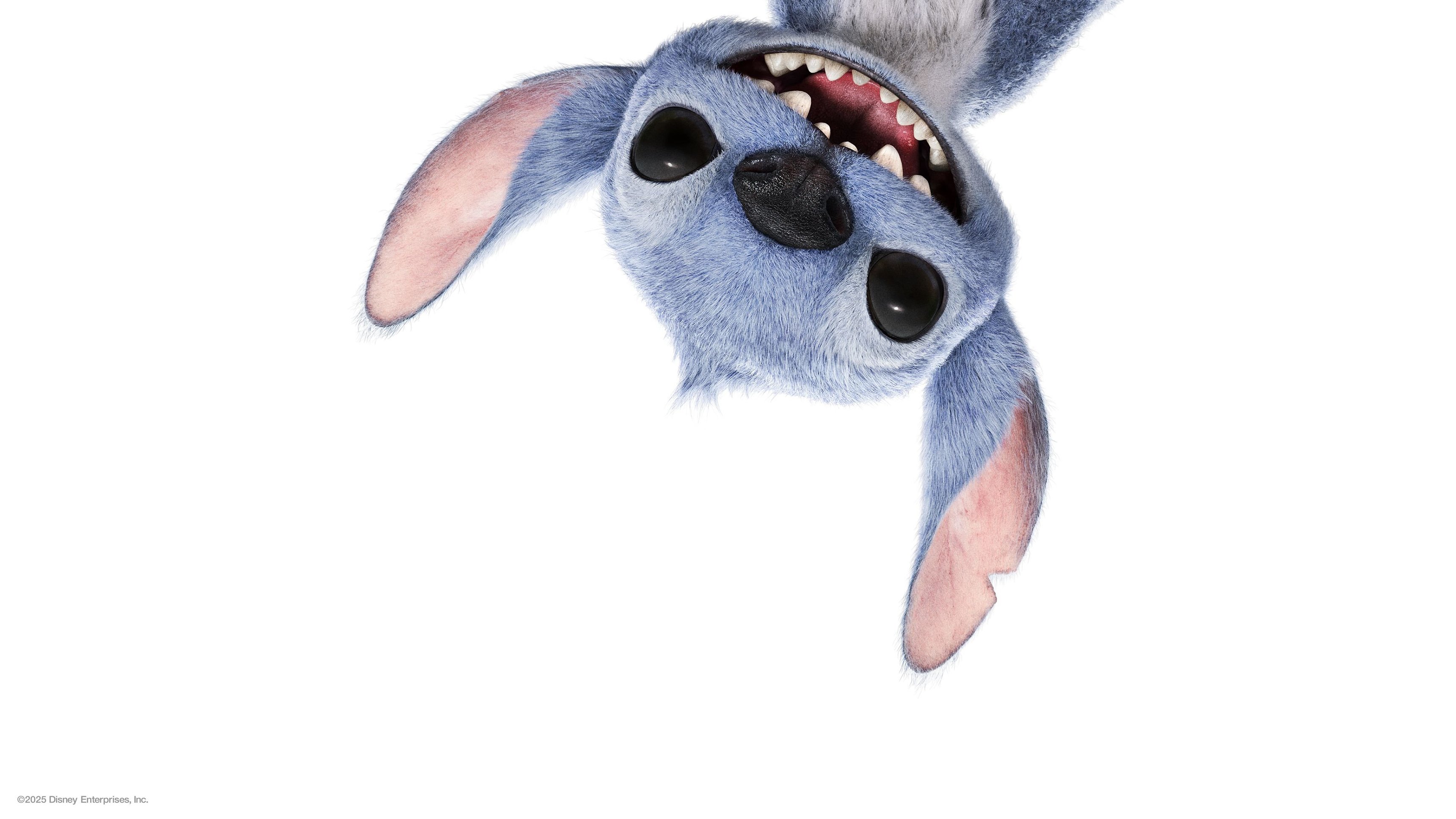 Lilo & Stitch | En smygtitt