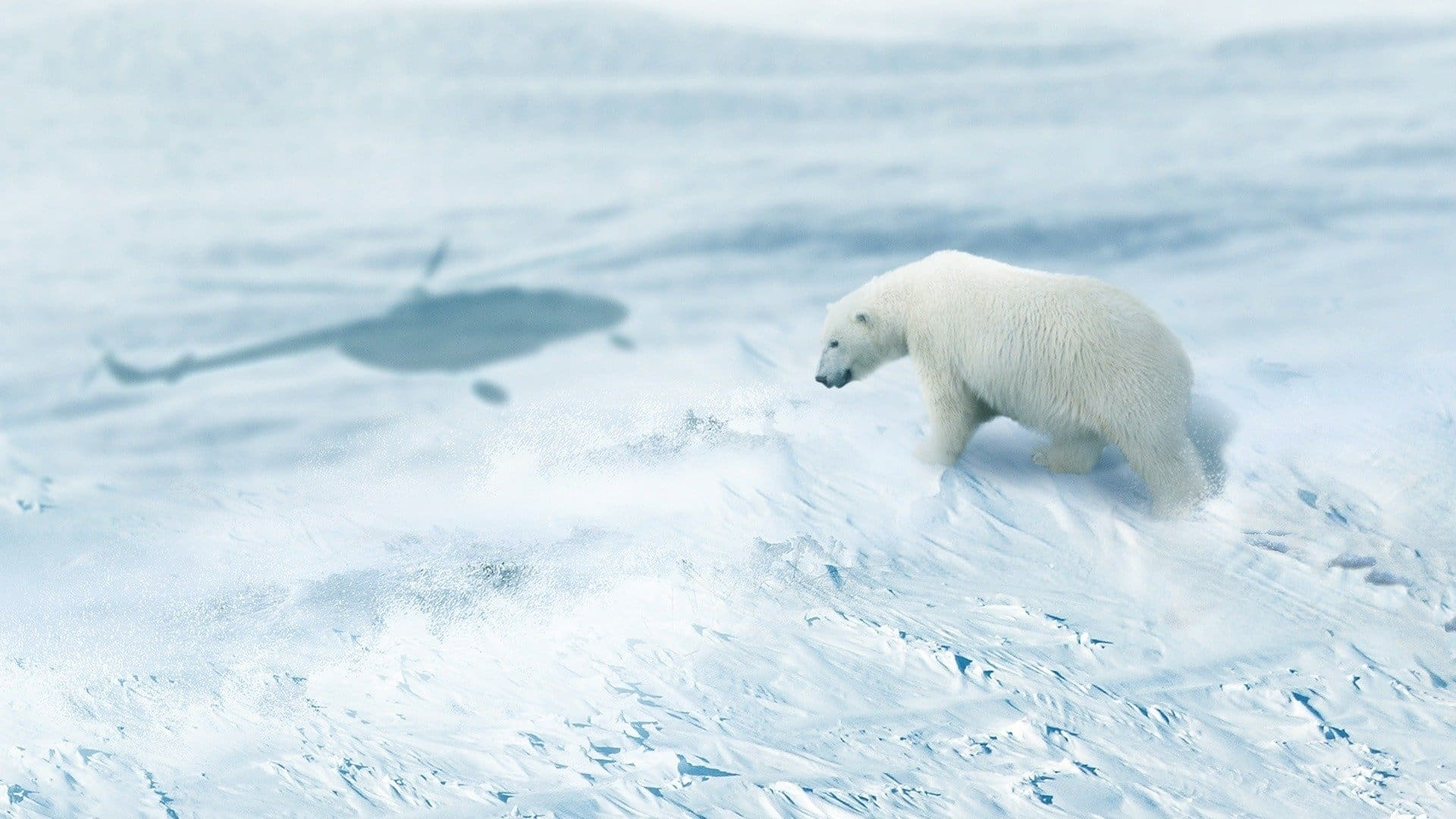 Arctic from Above