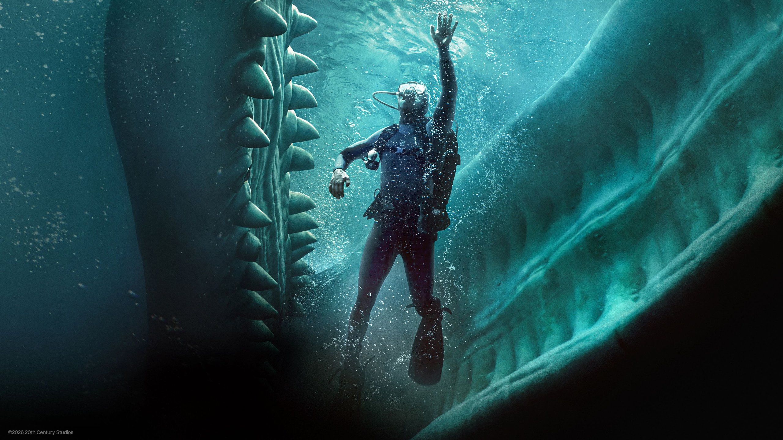 Whalefall | A Special Look
