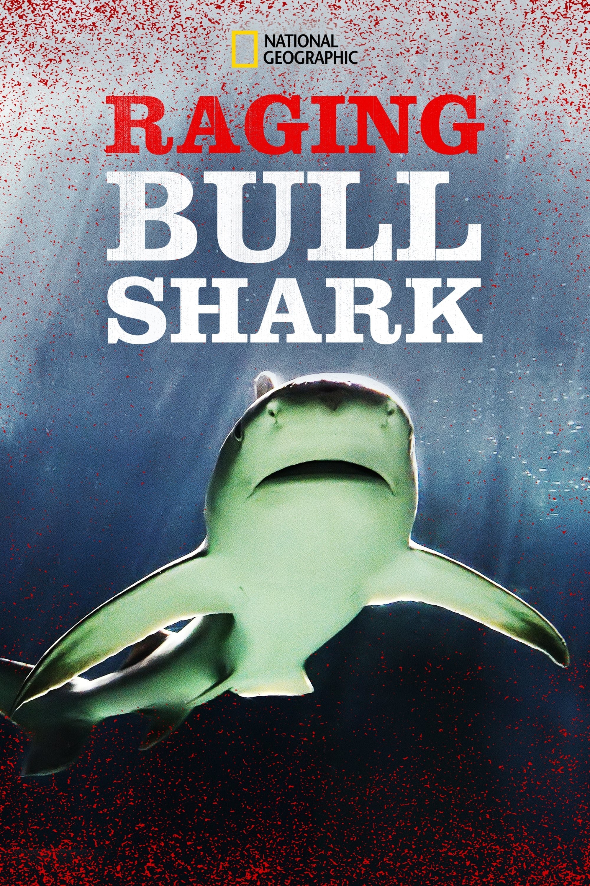 Raging Bullshark