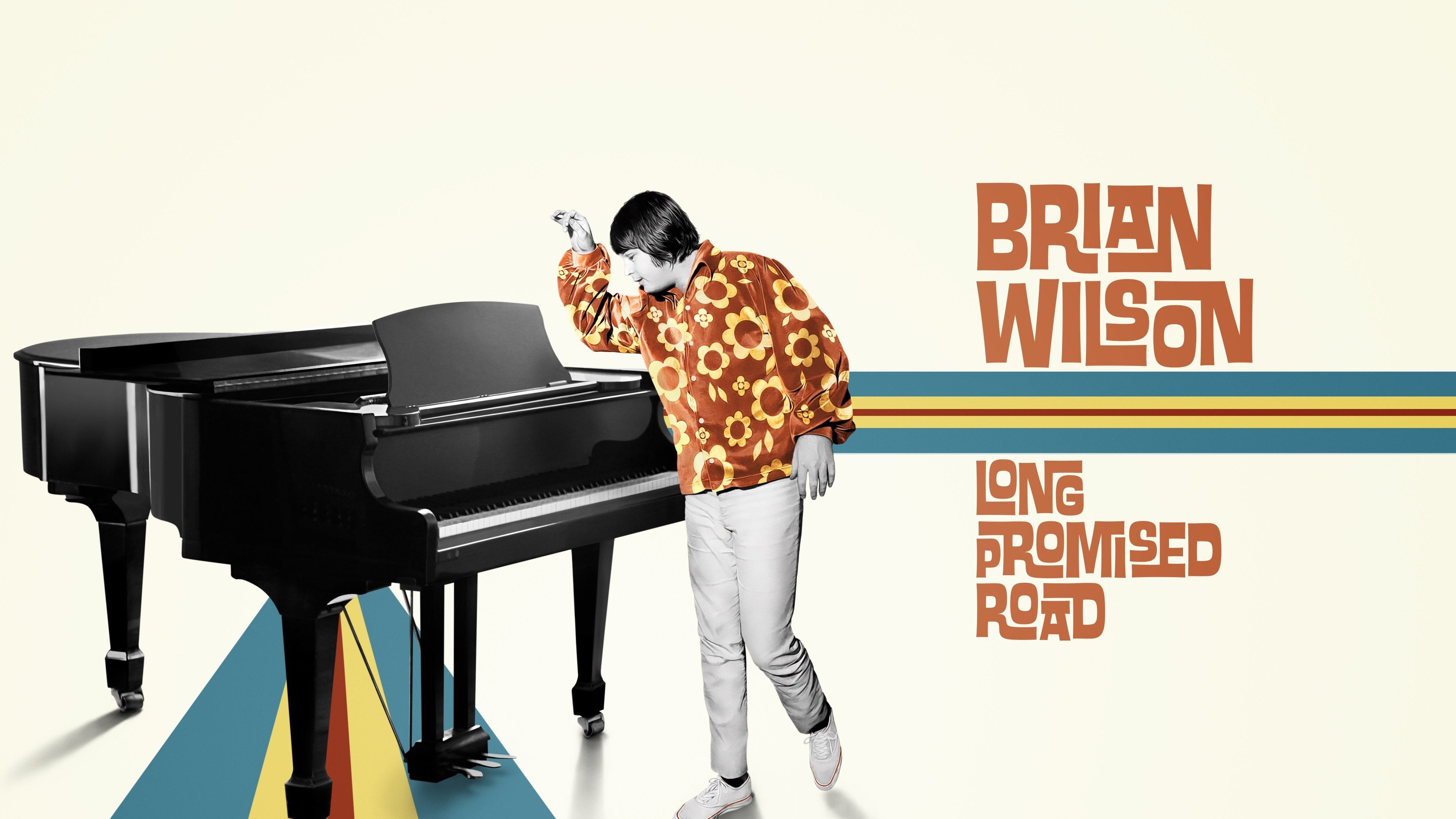 Brian Wilson: Long Promised Road