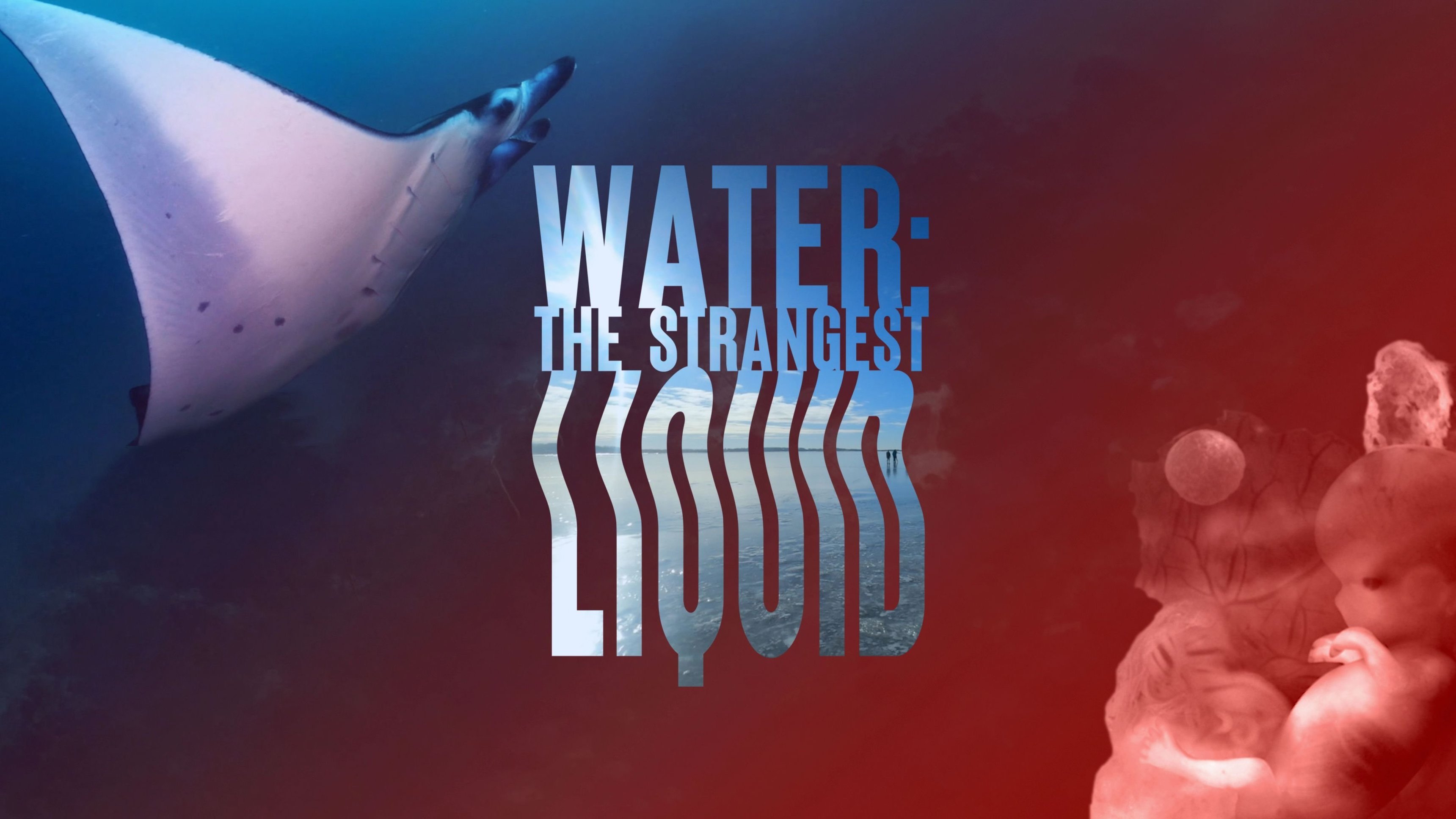 Water: The Strangest Liquid