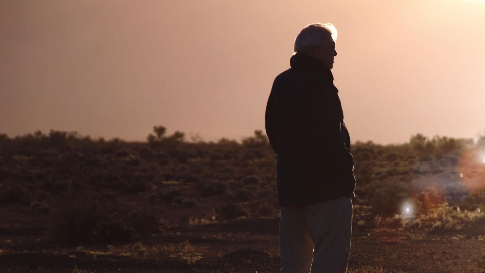 David Attenborough 100 år