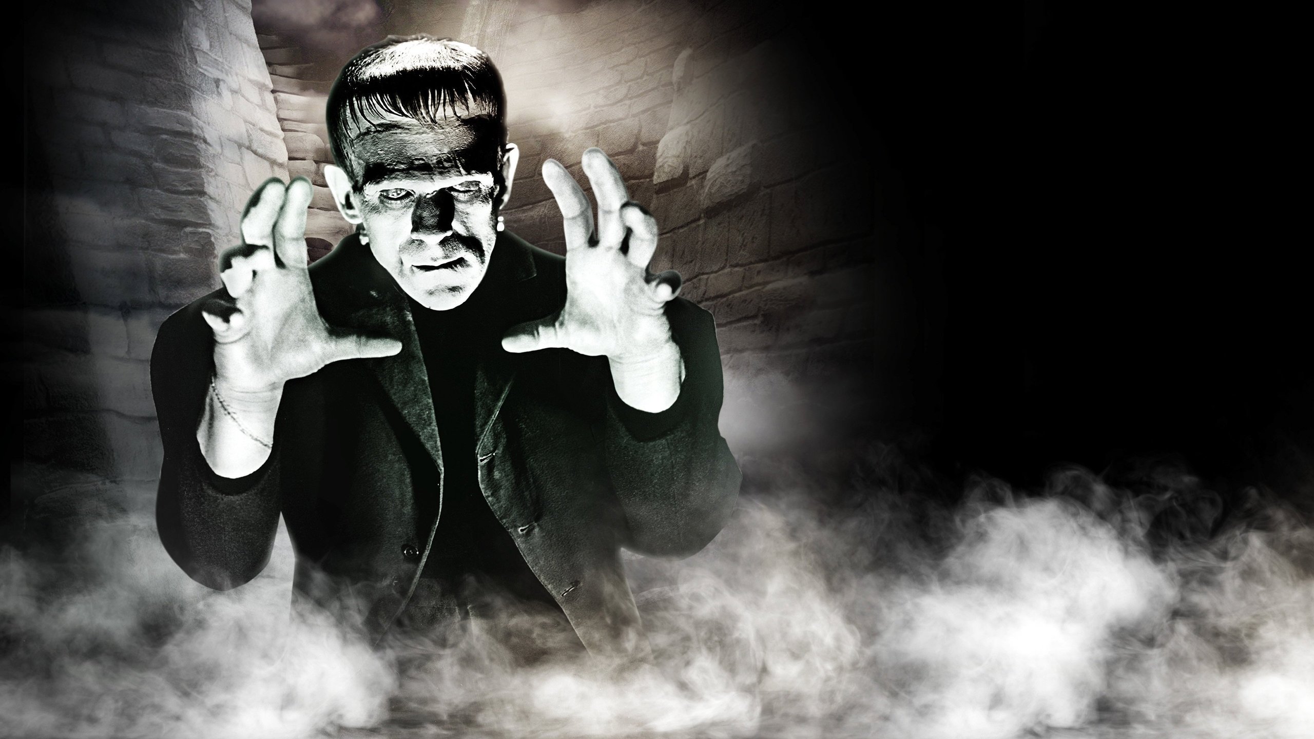 Frankenstein: mannen som skapade en människa