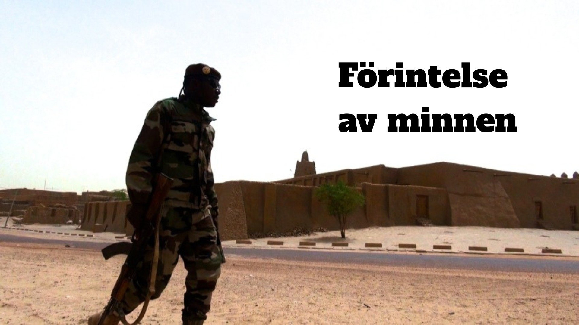 Förintelse av minnen