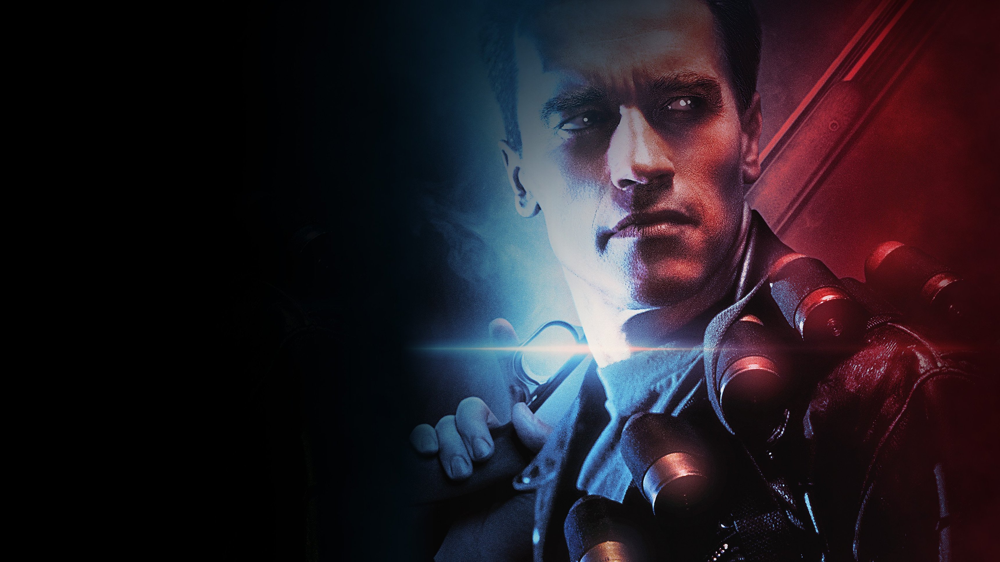 Terminator 2 - Domedagen