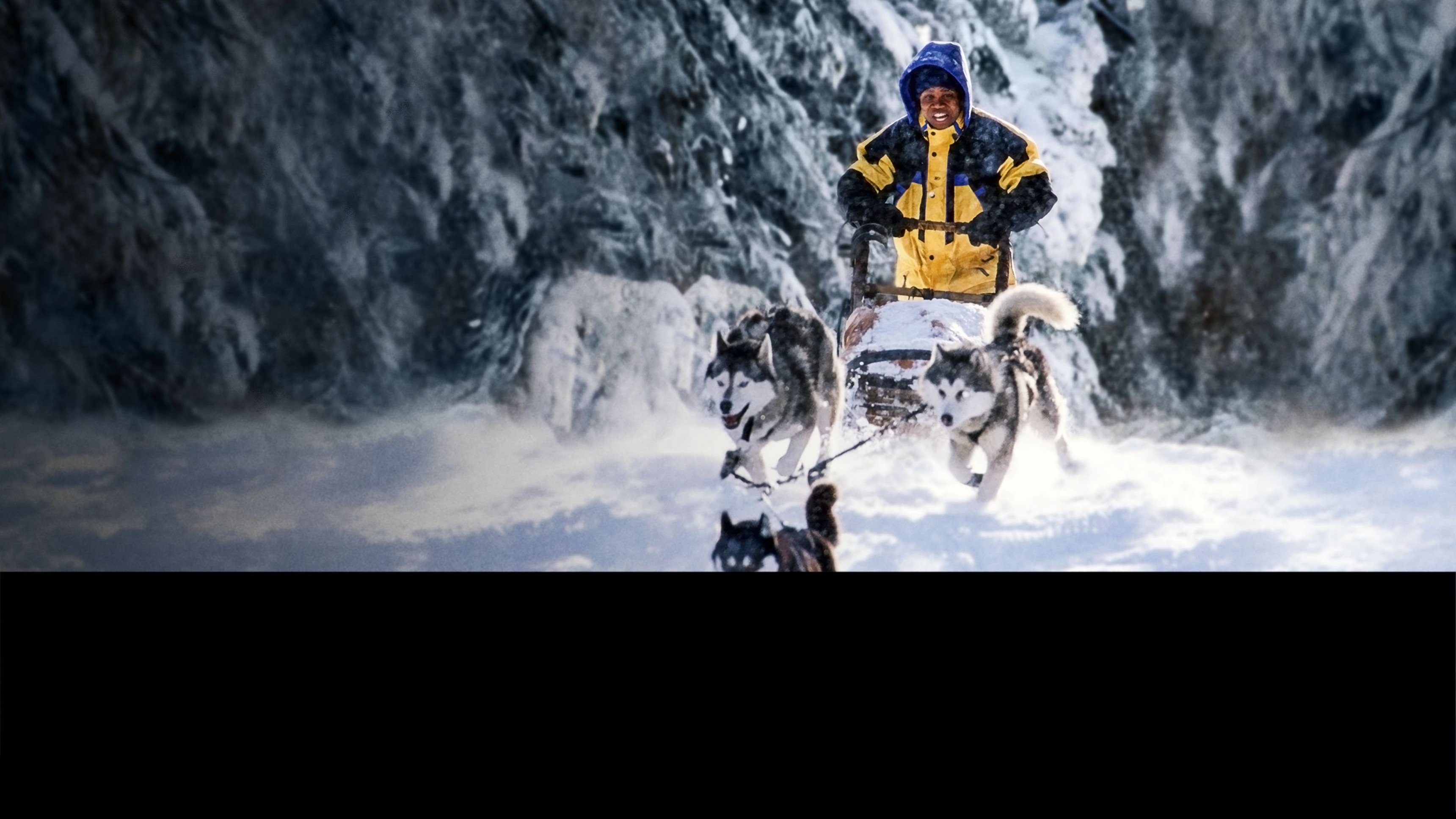 Snow Dogs