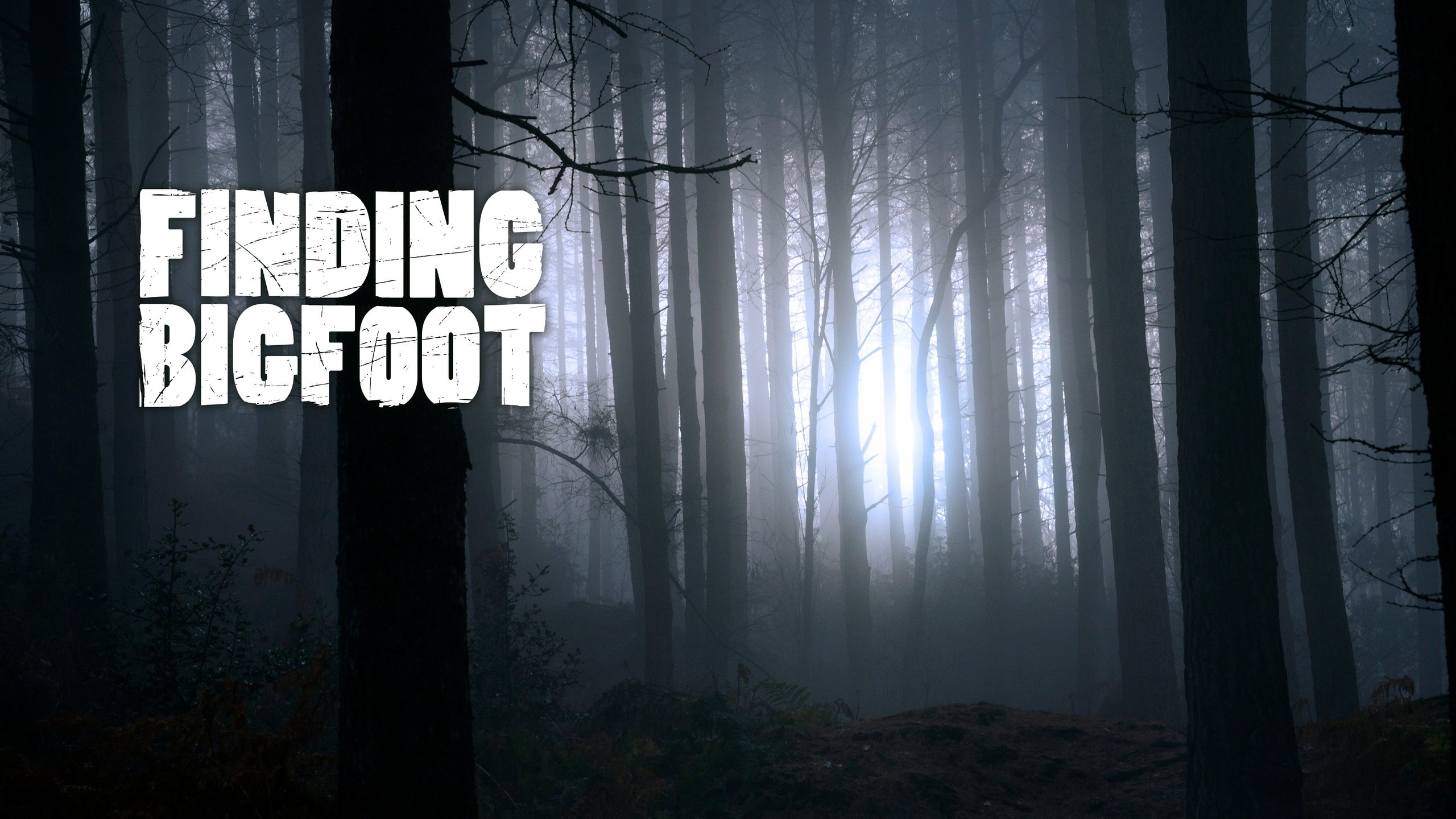 Finding Bigfoot