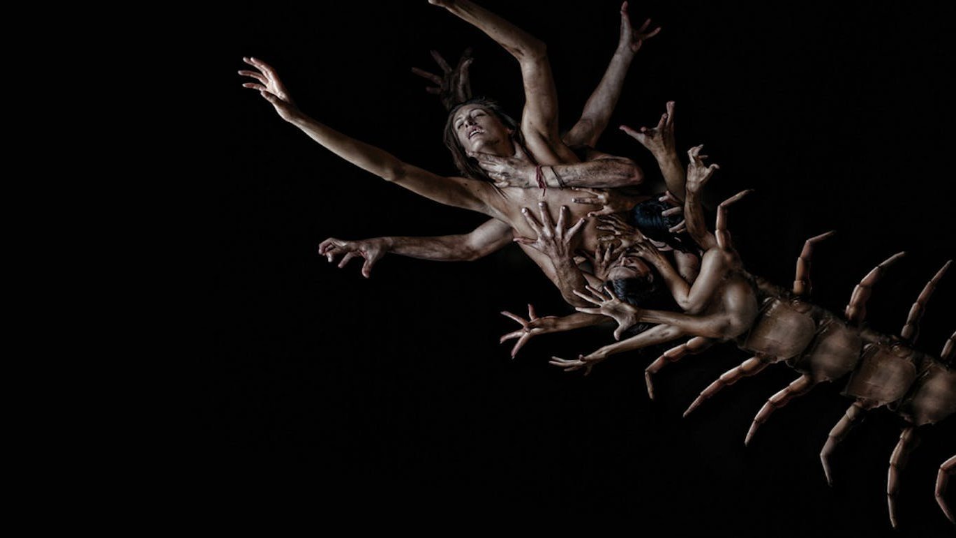 The Human Centipede II