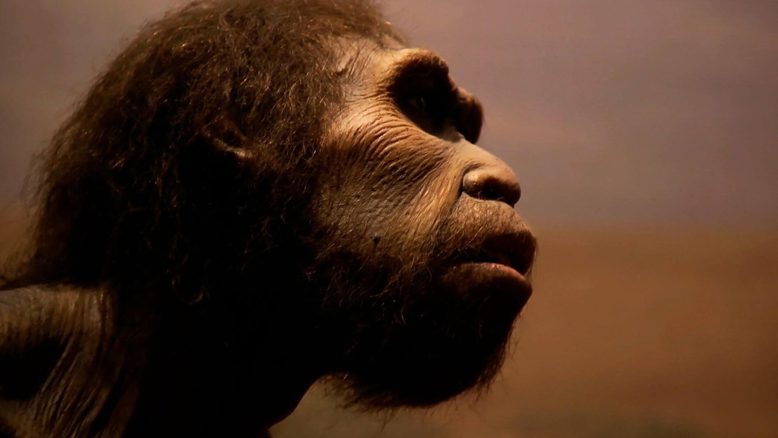 17. Mysteries Of The Missing Link