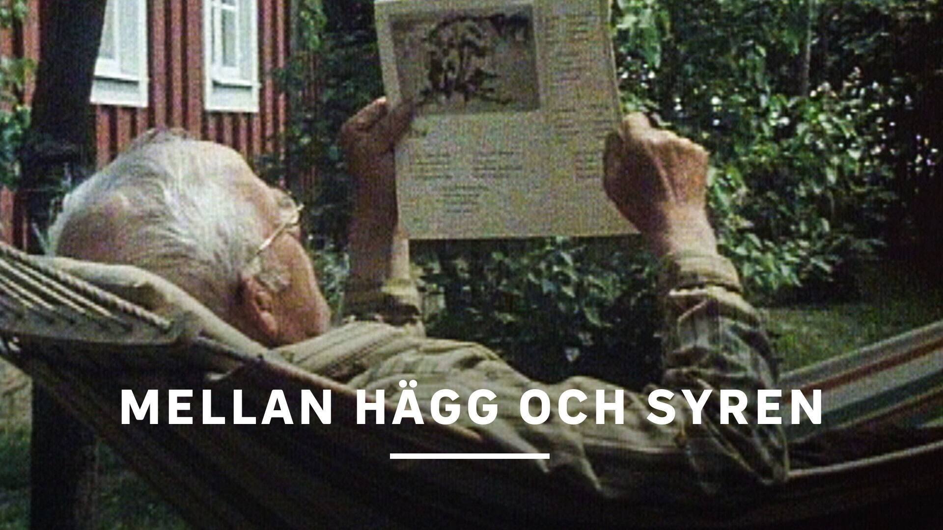 Mellan hägg och syren