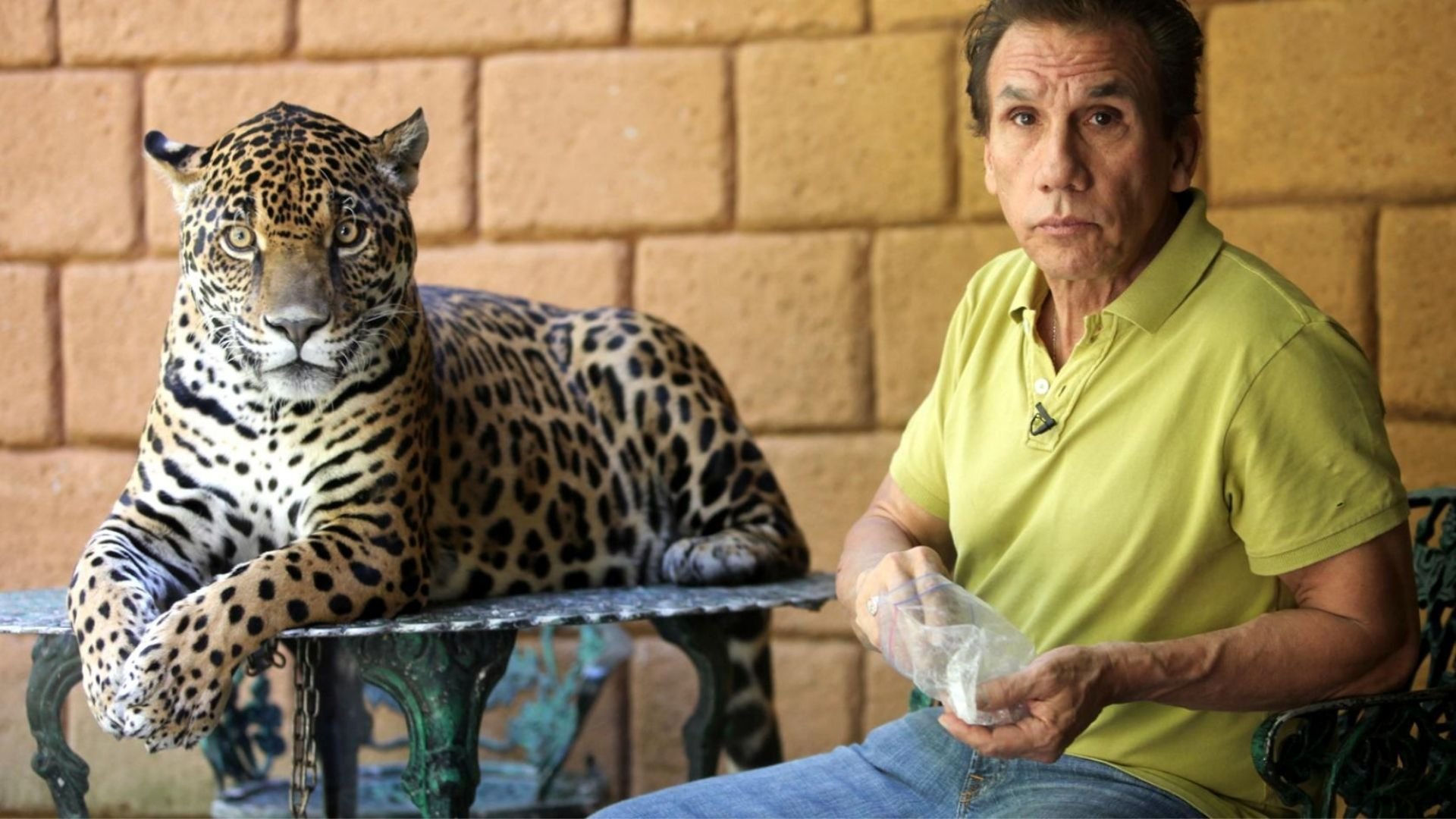 Preposterous Pets