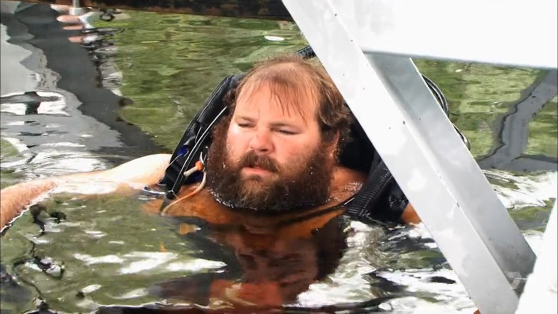 9. Old Log, New Tricks