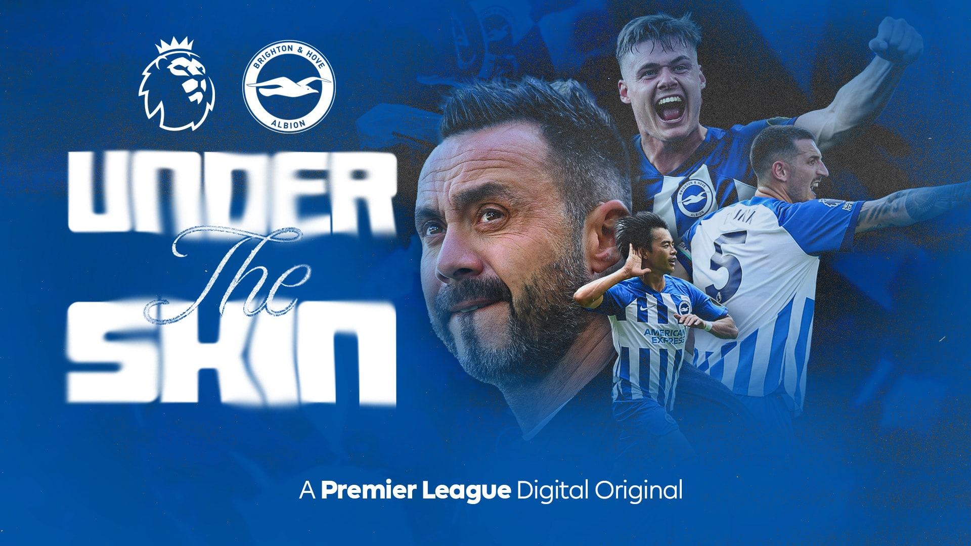 5. A Beginner's Guide to Brighton & Hove Albion FC